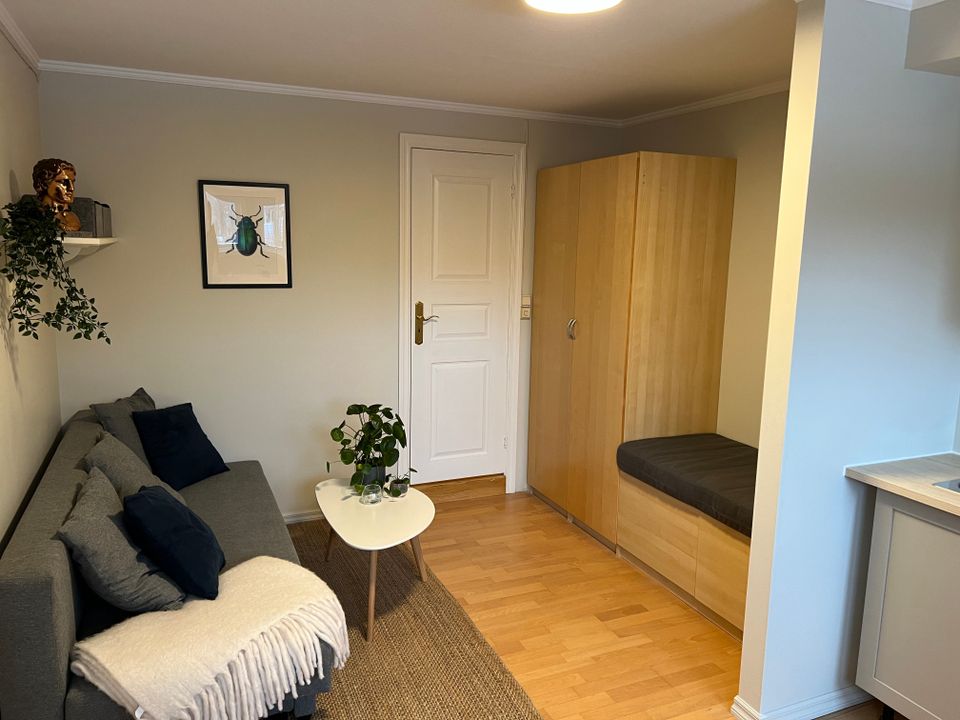 Modern flat close to both forest and city center