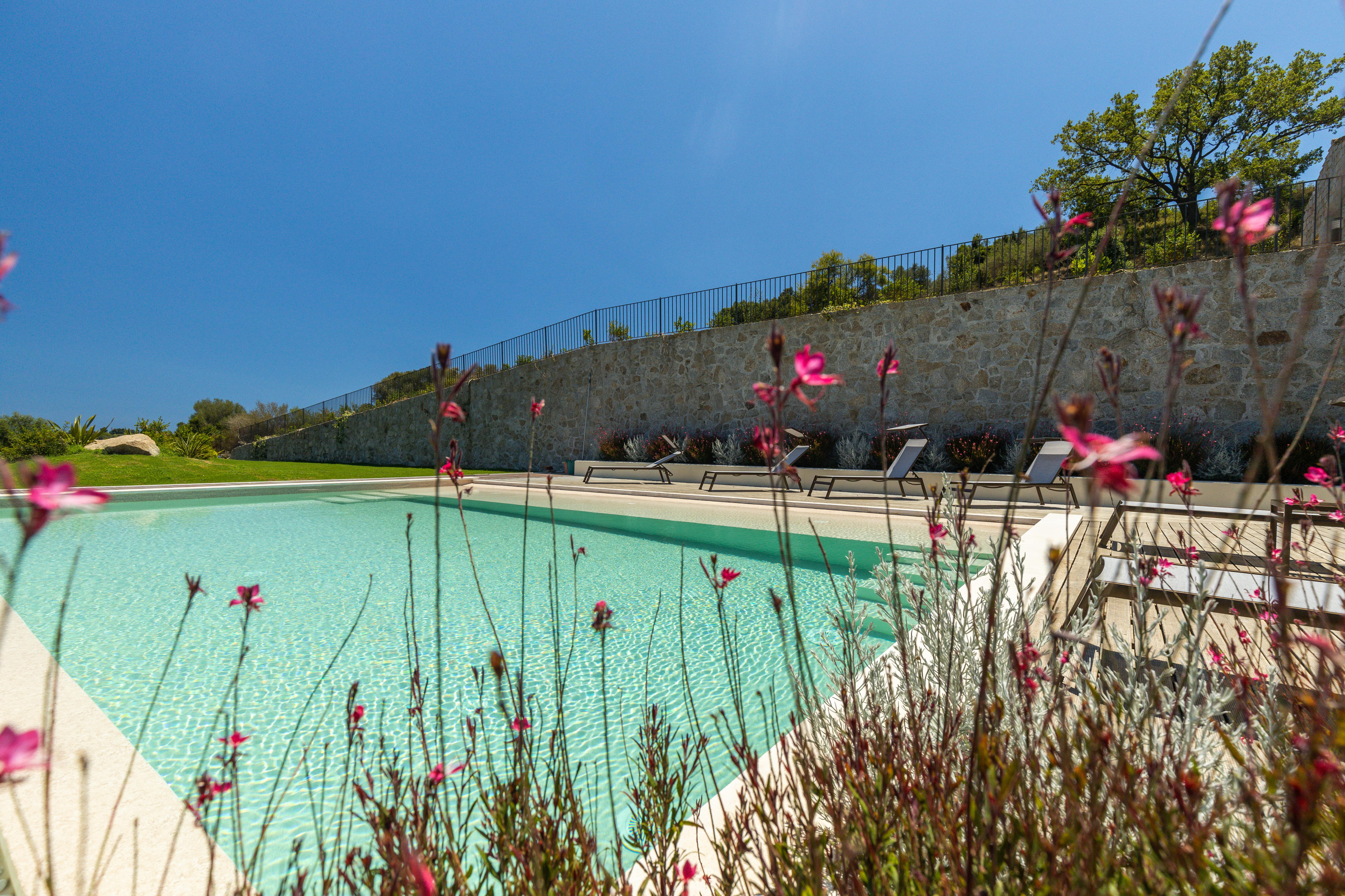 Apartment in residence with pool - Lentischio