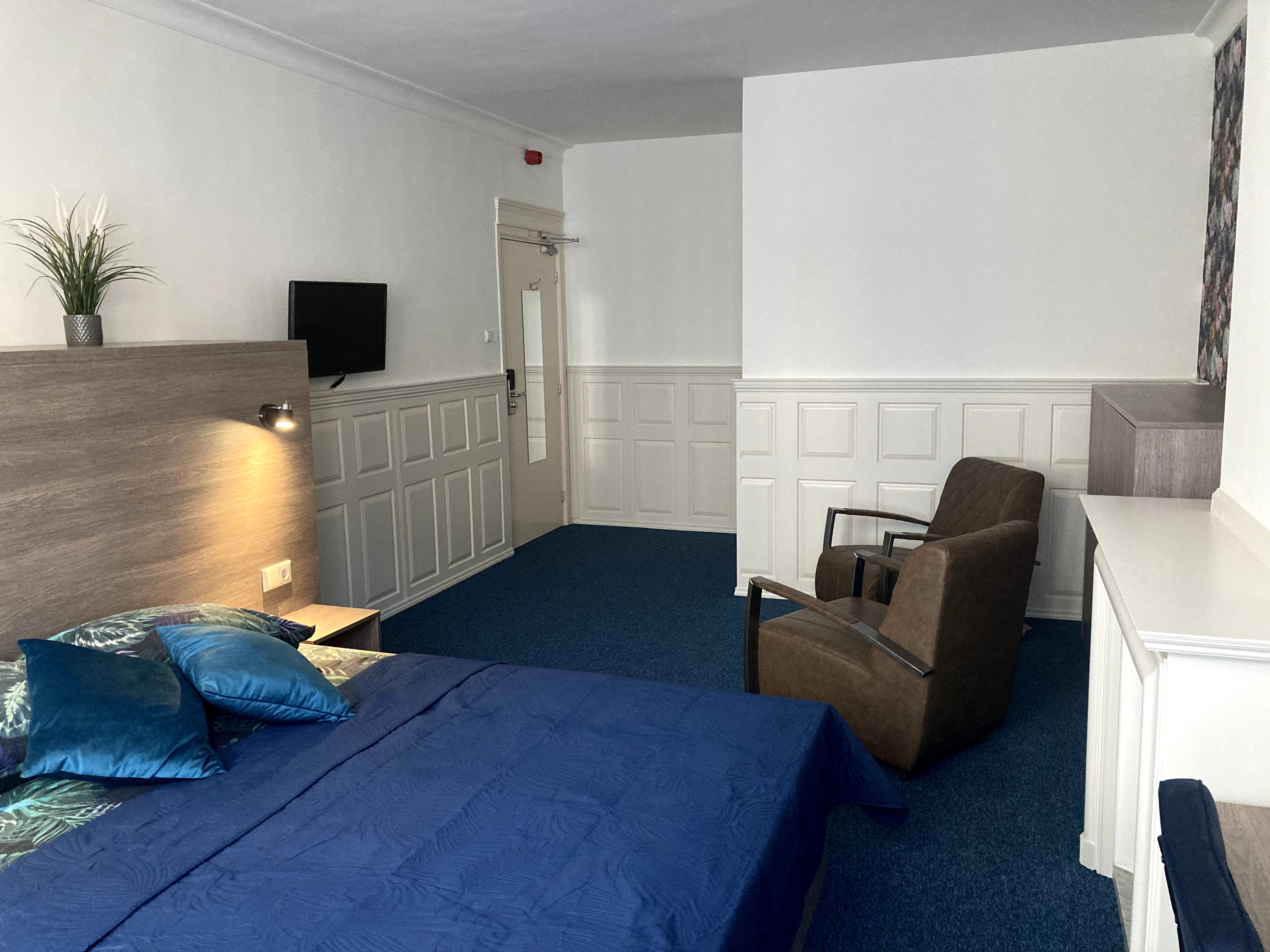 ruime kamer bij het theater — The Hague stay