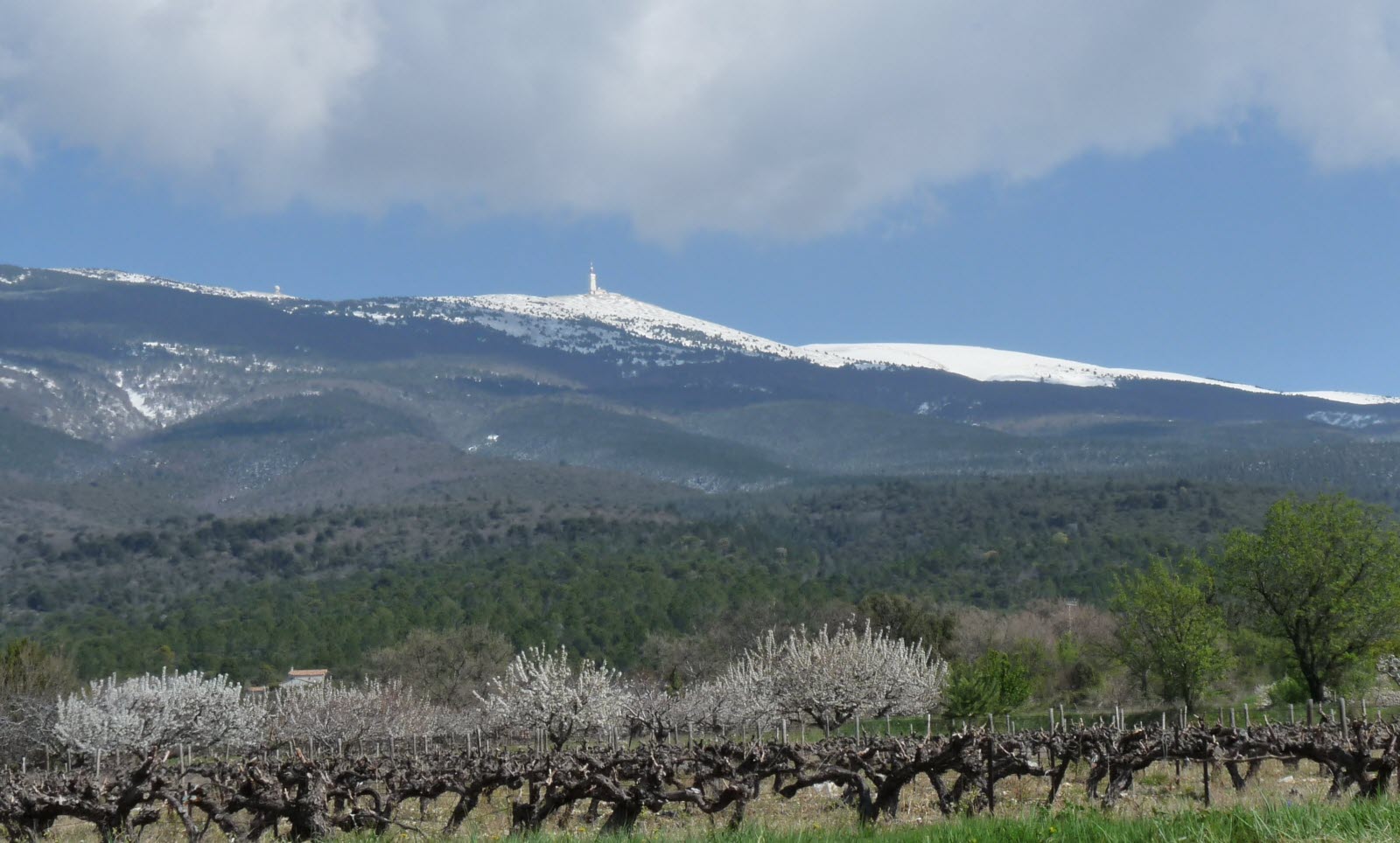 The Colombier