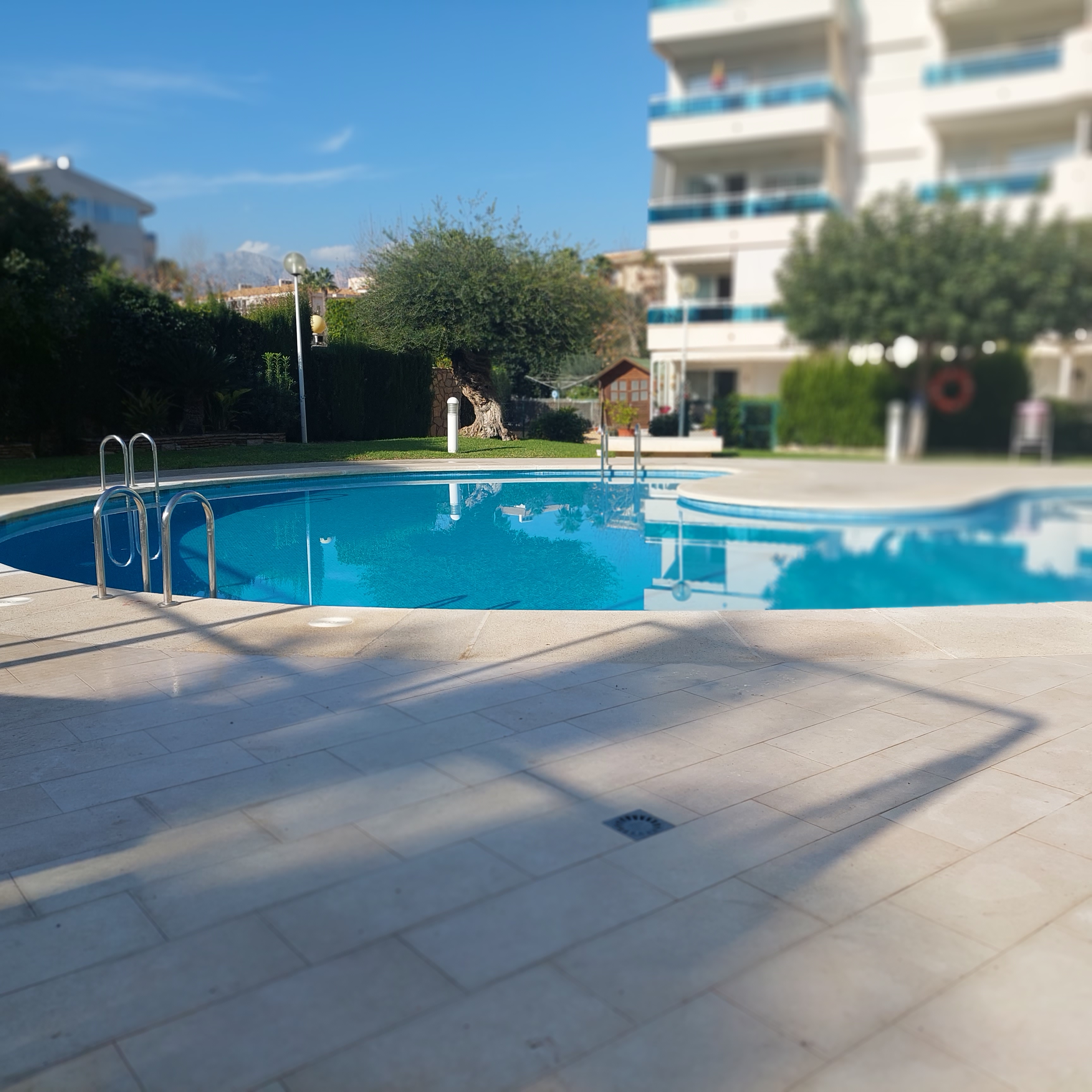 Estrella del Albir II