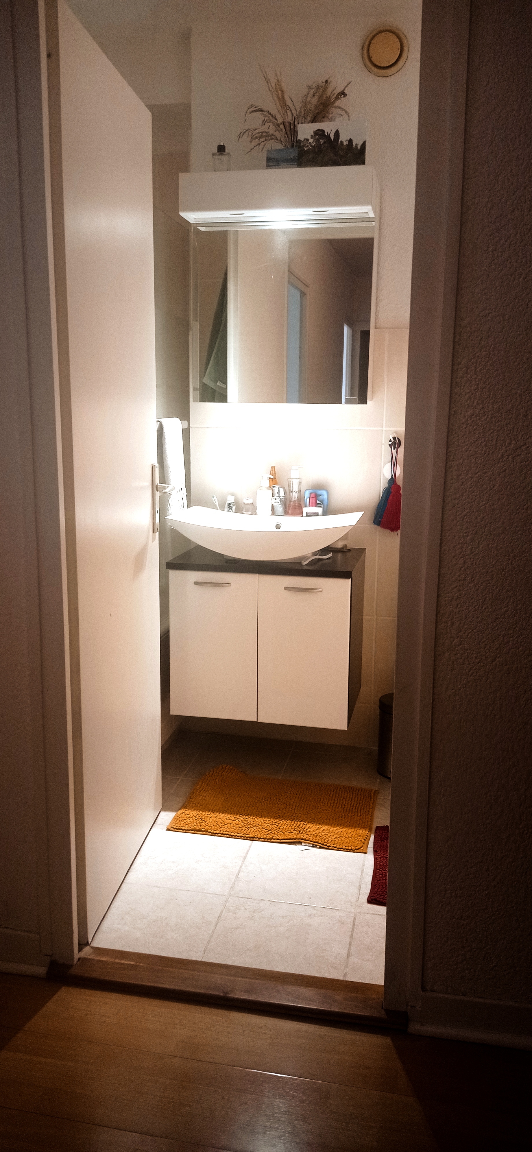 Mountain view apartment