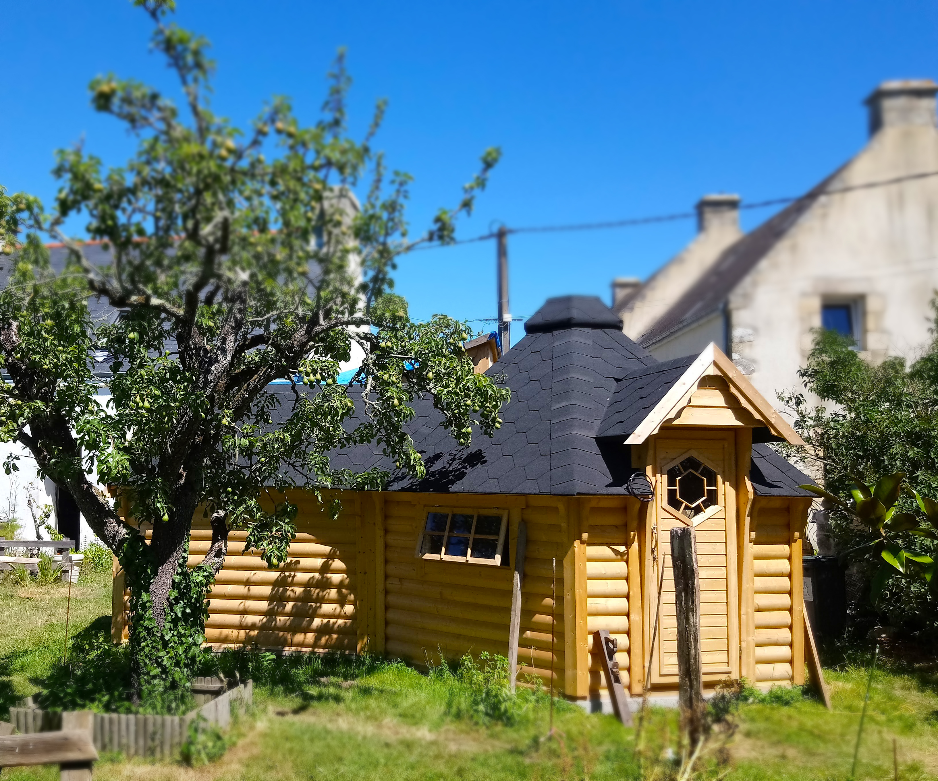 Nordique City Ophrys ha Melenig