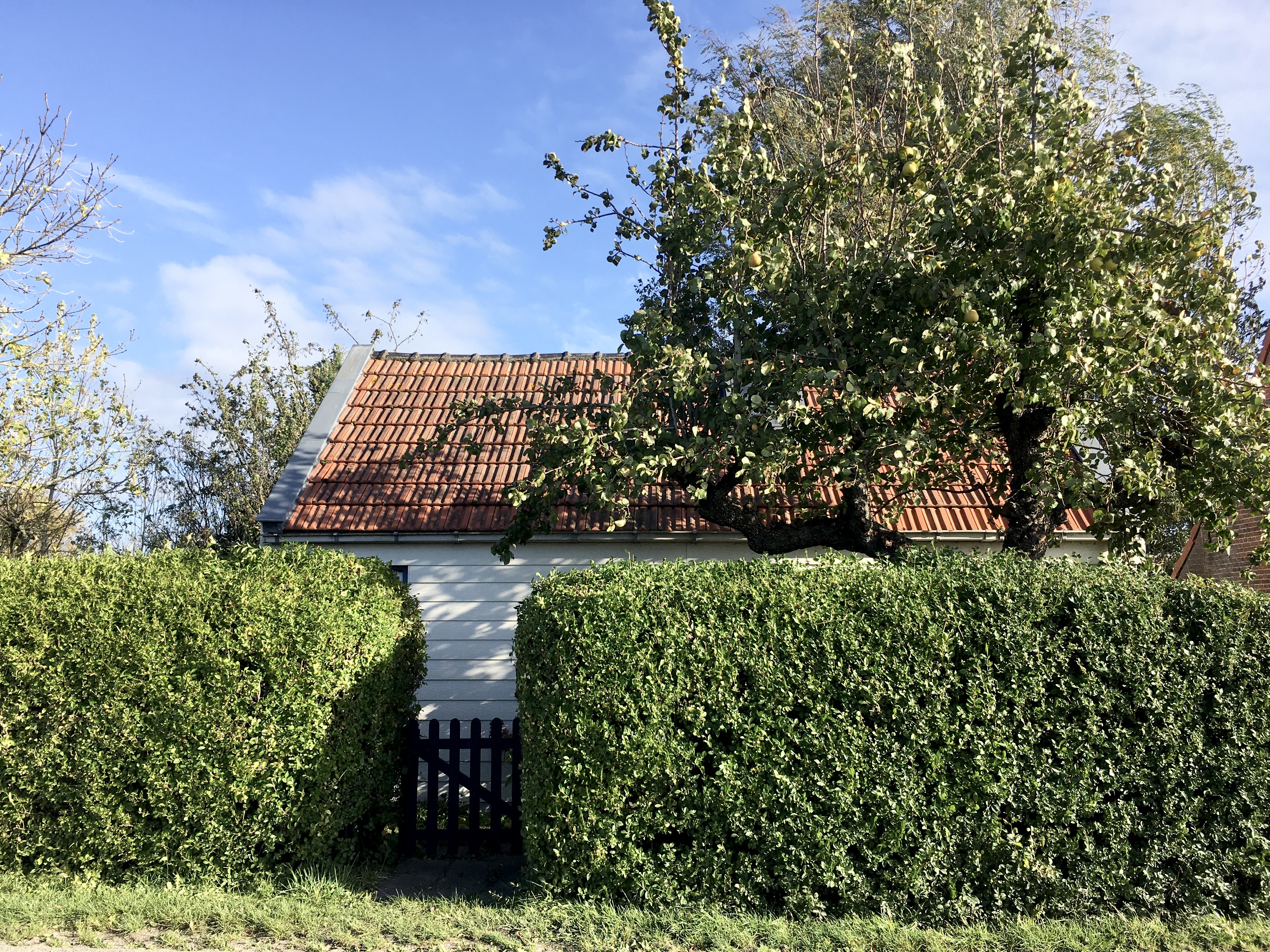 Cozy dike house with charm
