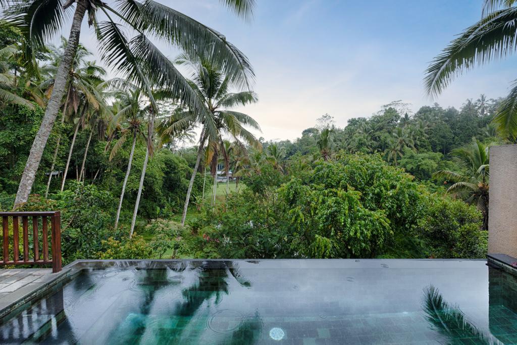 New 2BRV Infinity Private Pool & Kitchen @Ubud