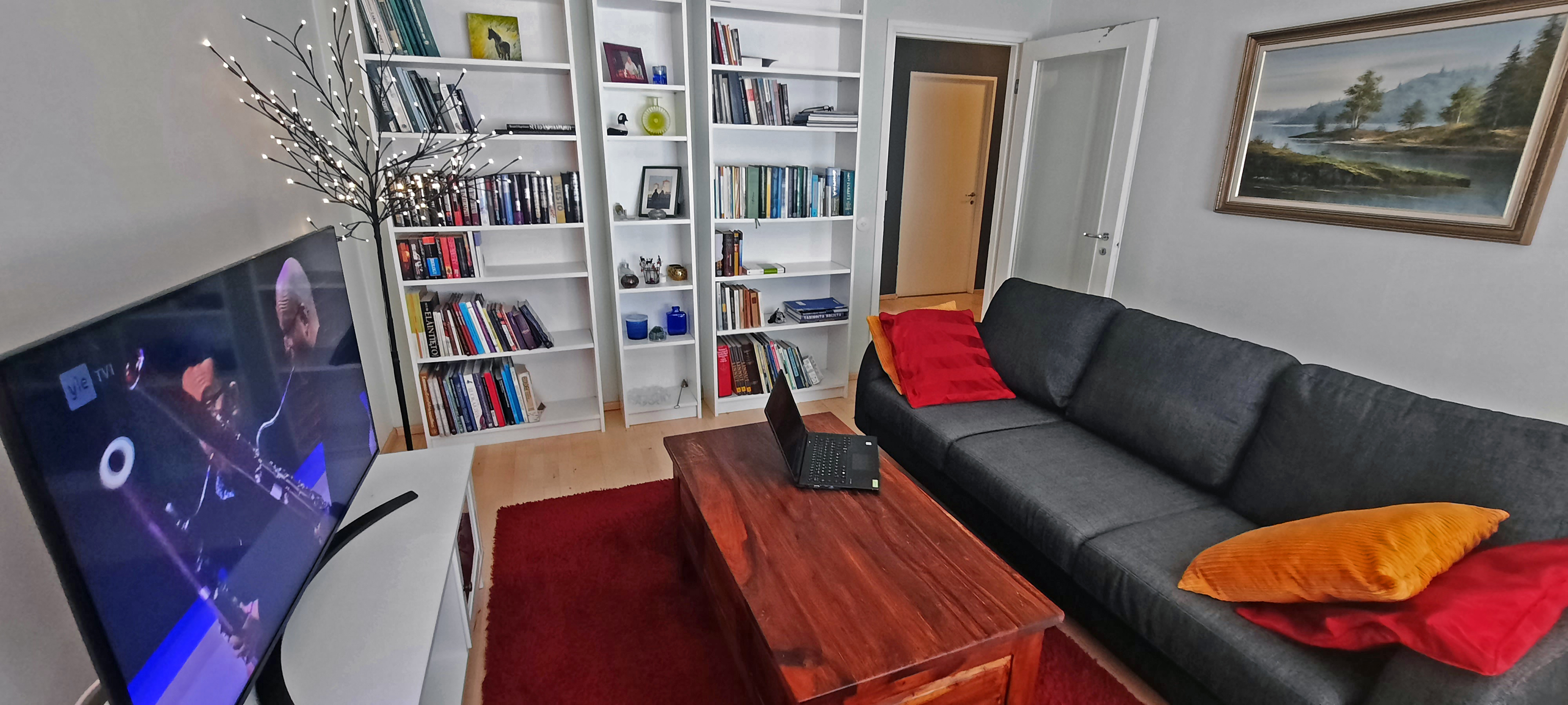 Cozy Downtown Apartment