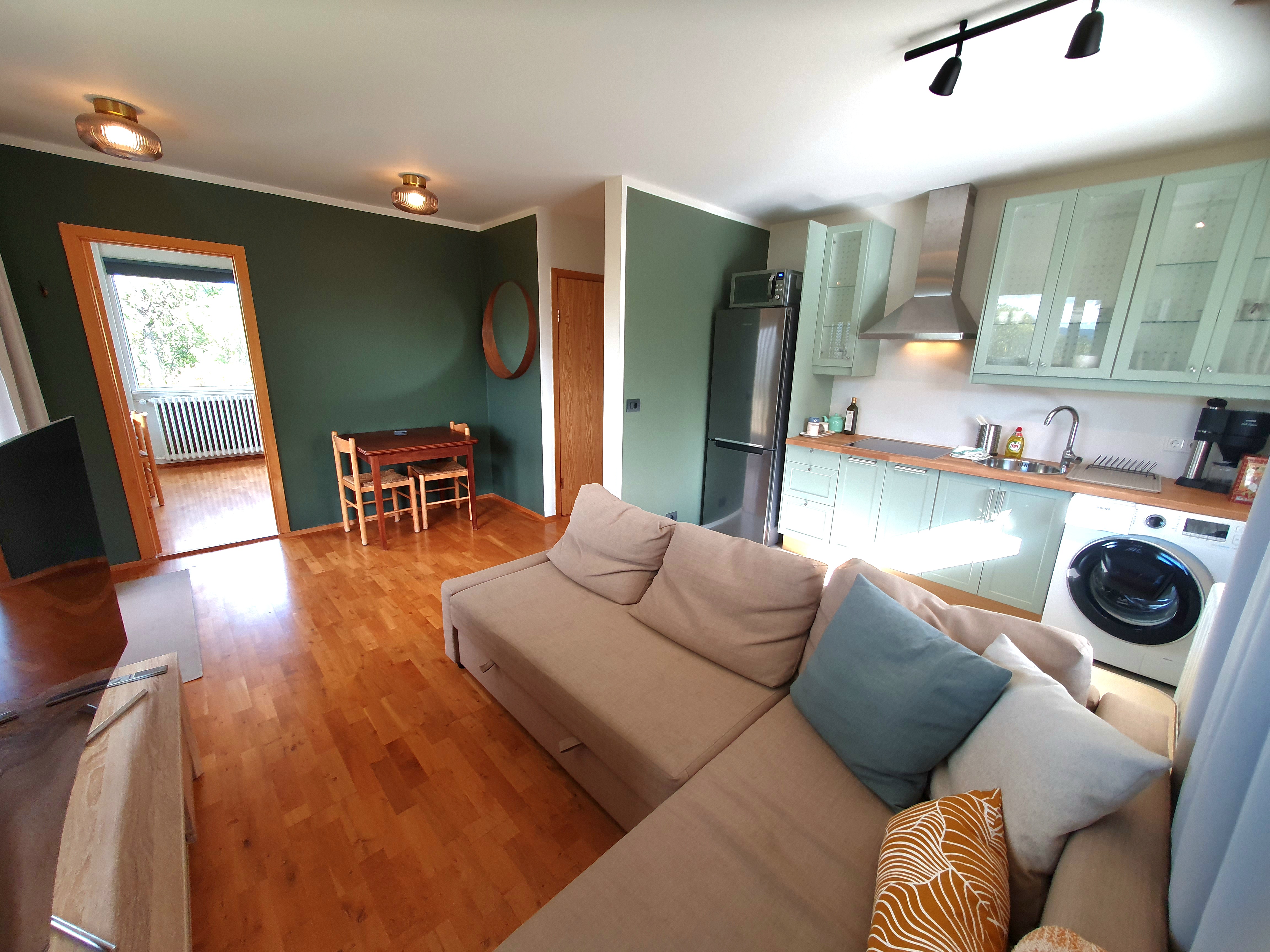 Cozy Downtown Apartment