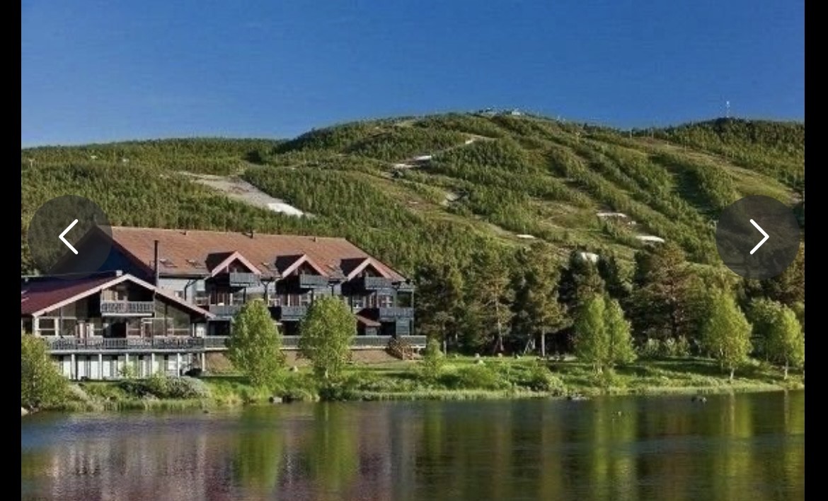 Nice apartment, centrally located at Geilo