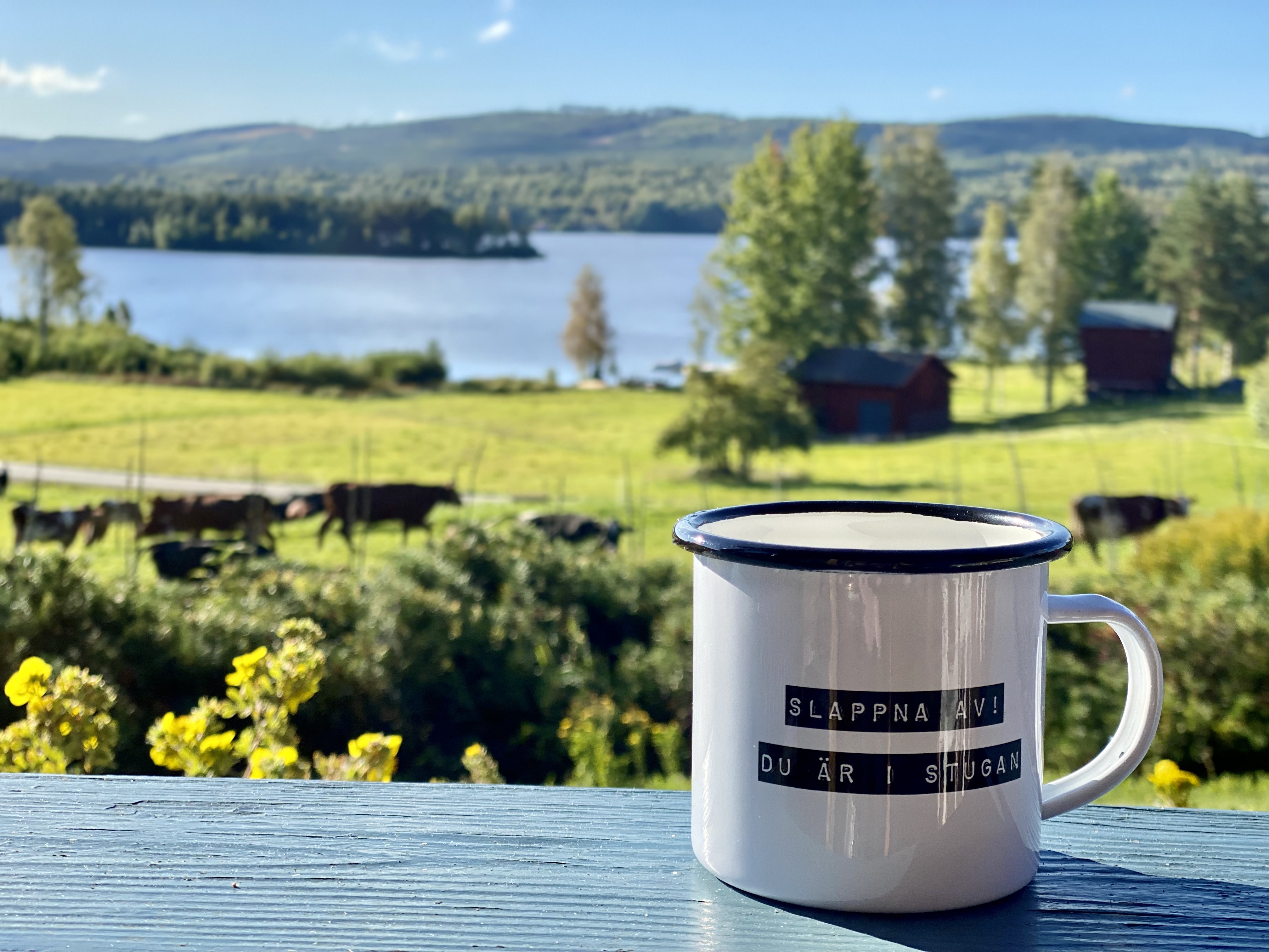 Cabin with beautiful views in Järvsö