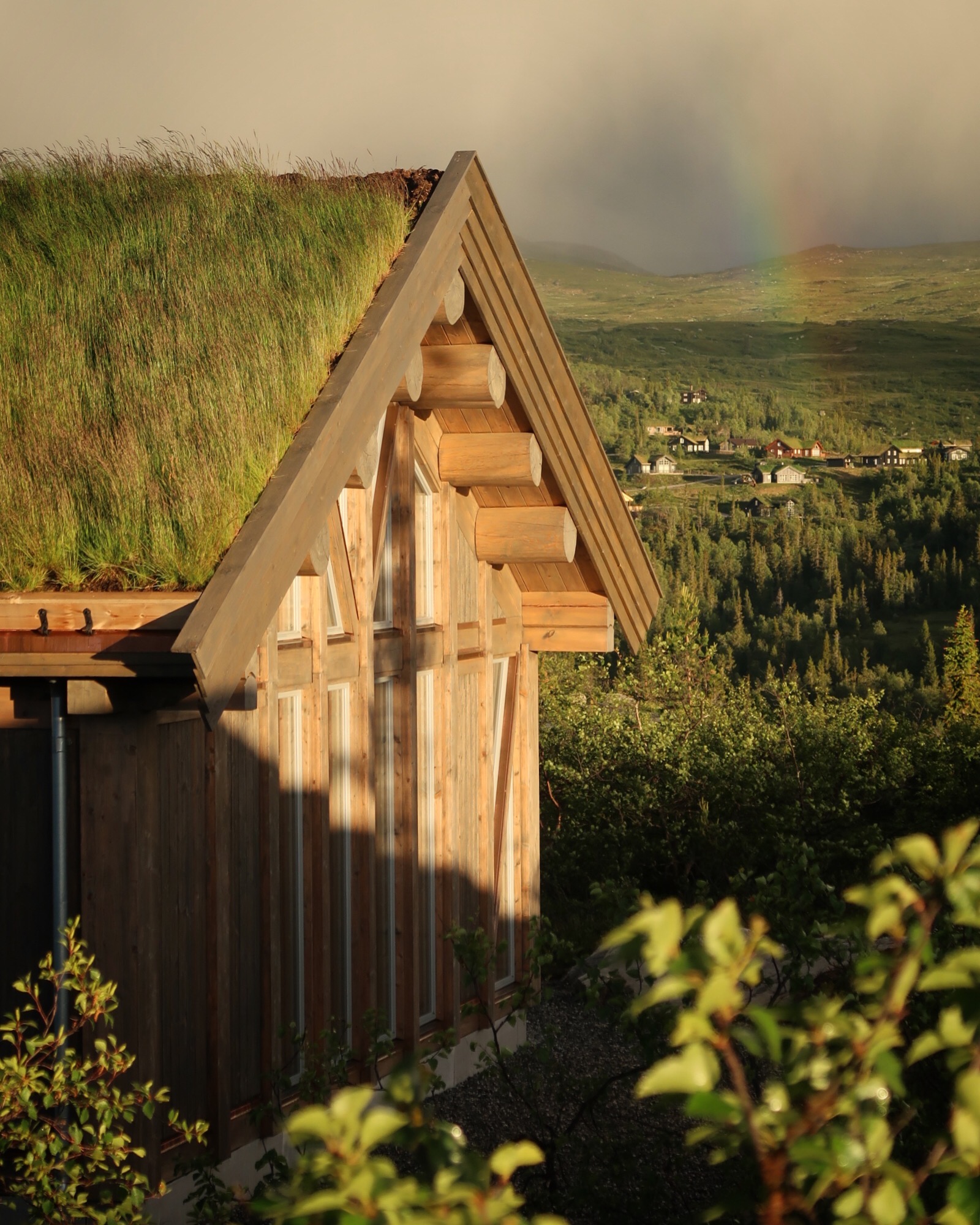 Stavlaftet cabin - Høgevarde