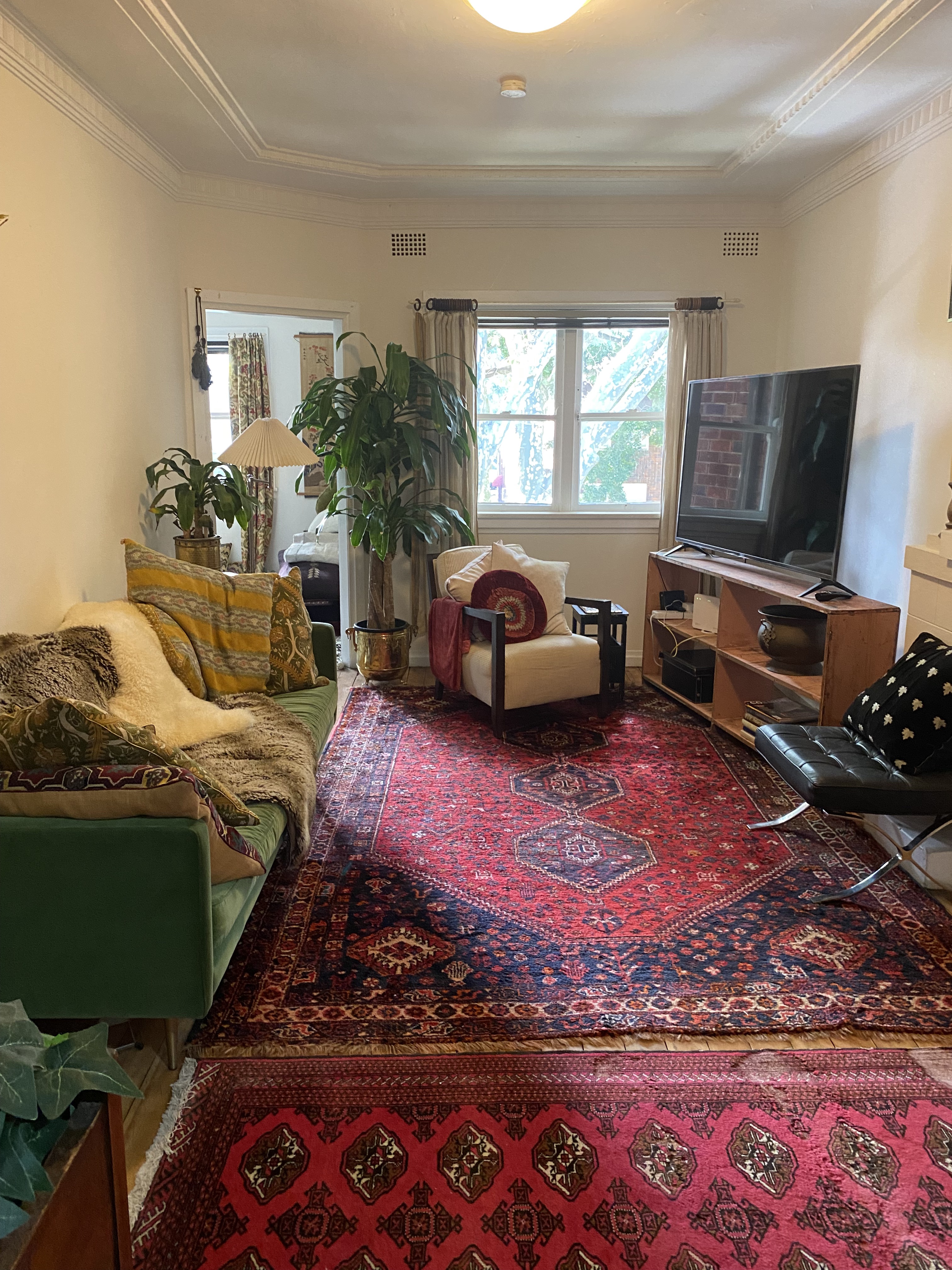 1BR Apt Rose Bay - Great location - Pet friendly