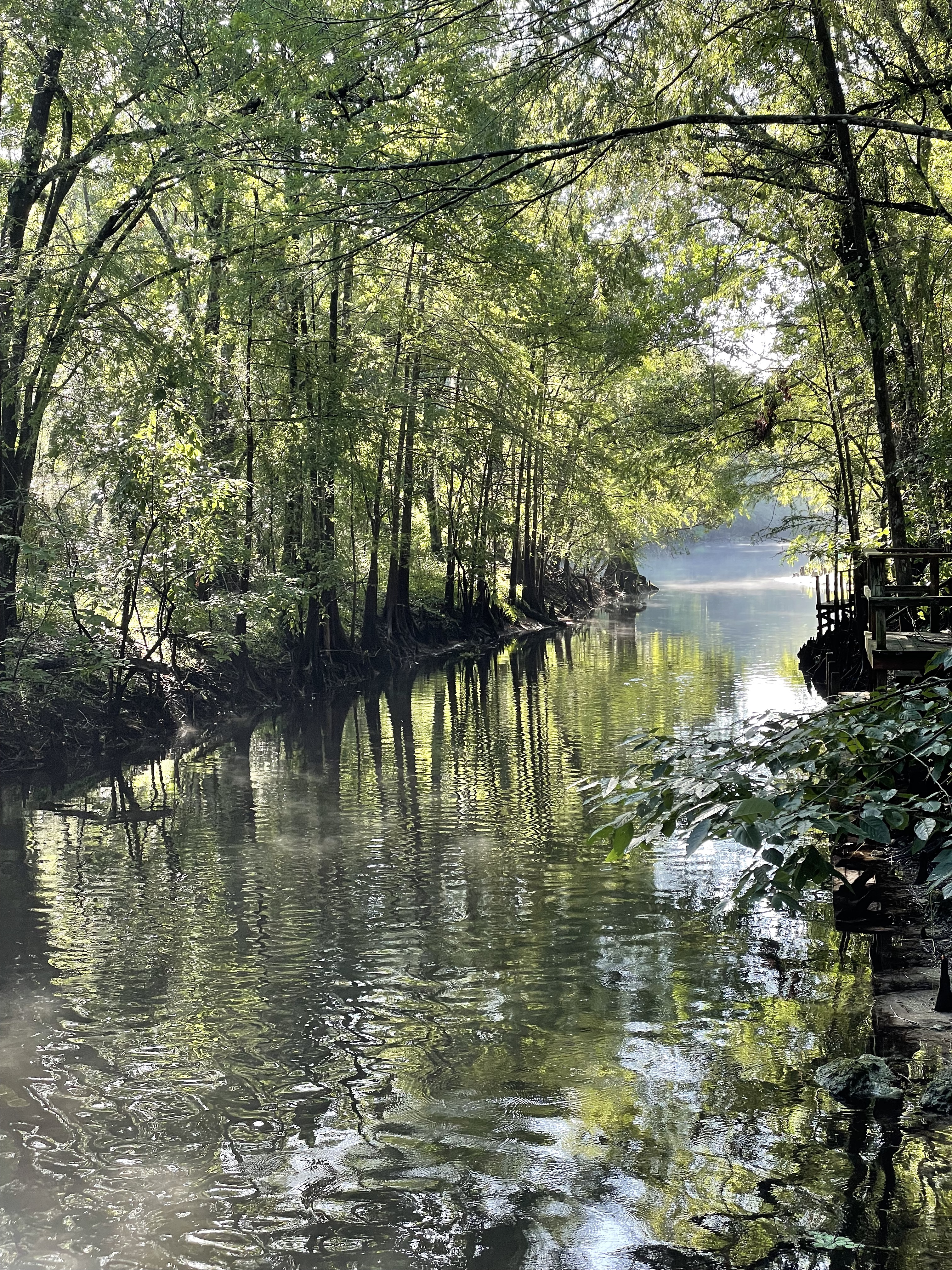 Perfect River Retreat