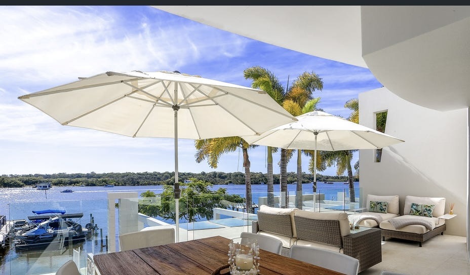 Noosa River Palms
