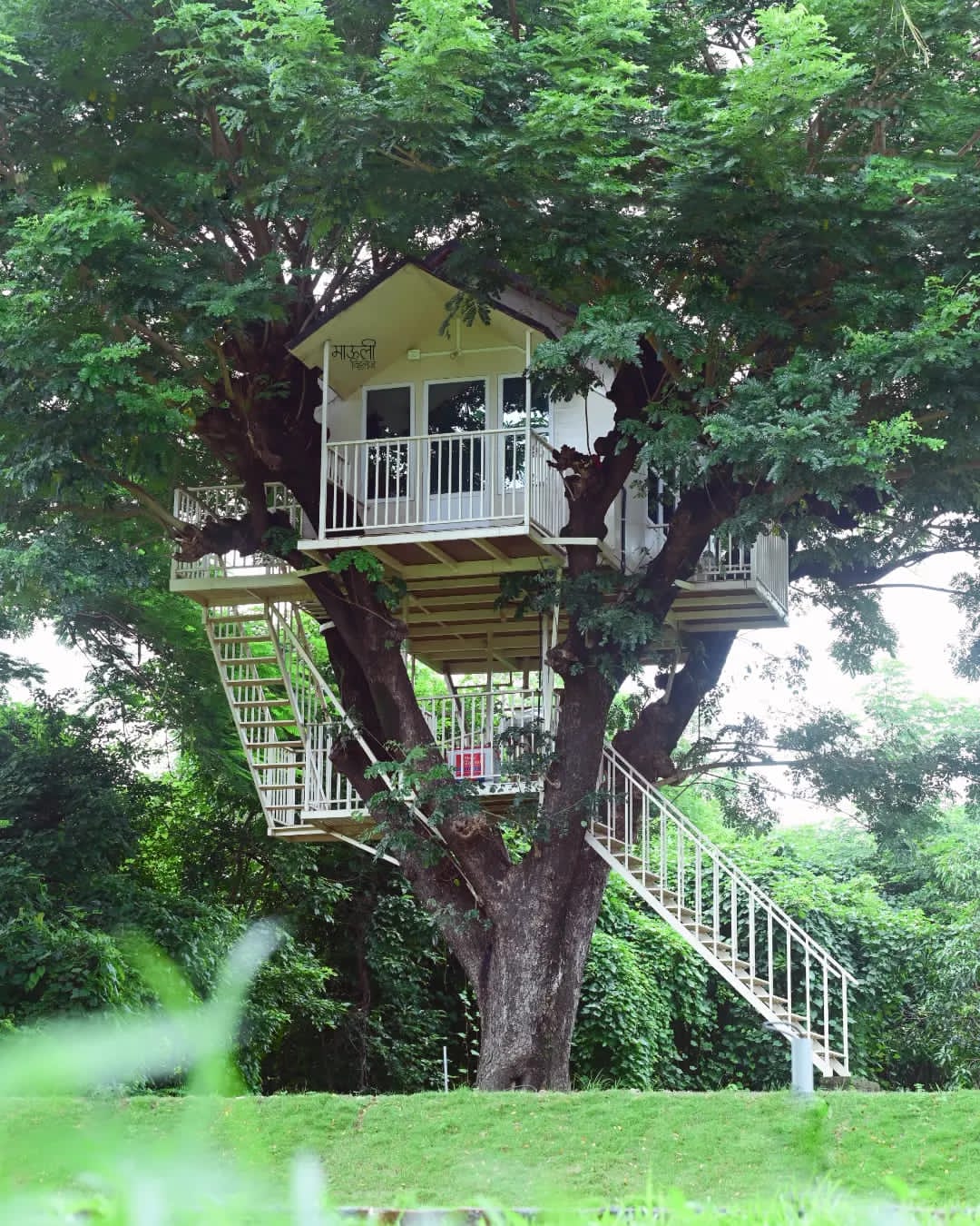 Nature's Nest: The Treehouse Experience