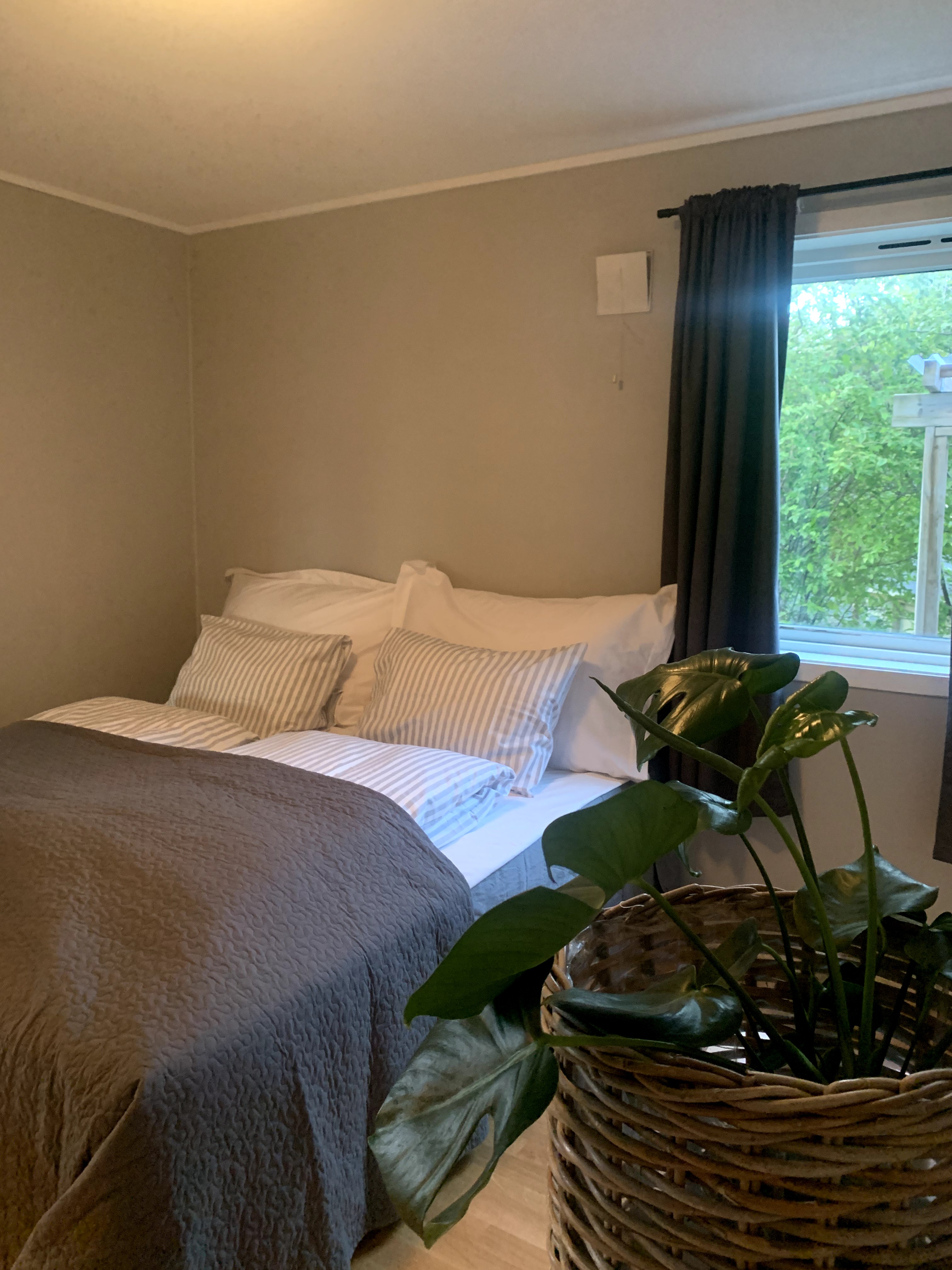 Cozy apartment in a quiet area