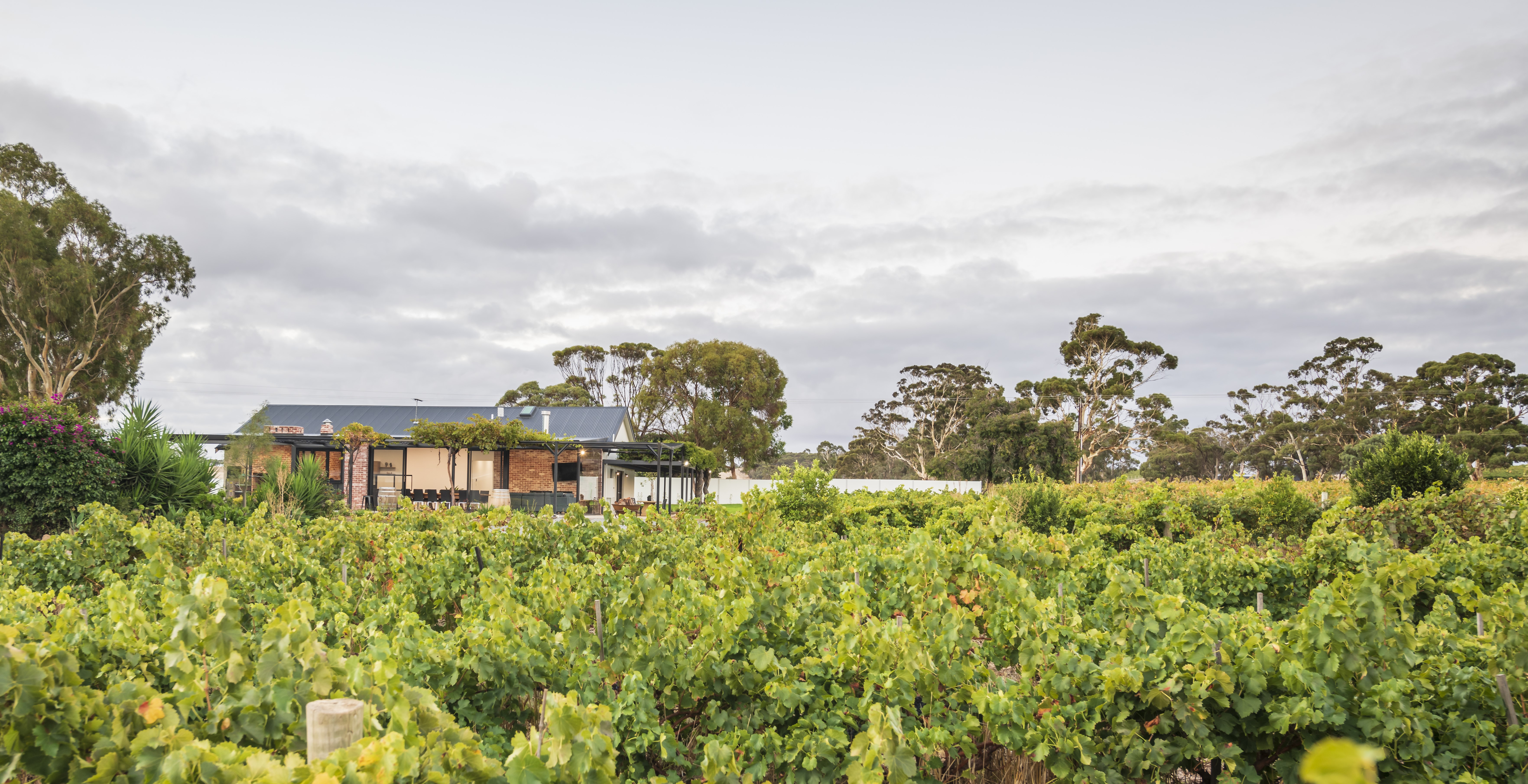 Casale Estate in Nuriootpa, Barossa Valley