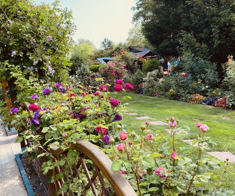 Garden view near FRANkFURT / STAY LIkE AT HOME /