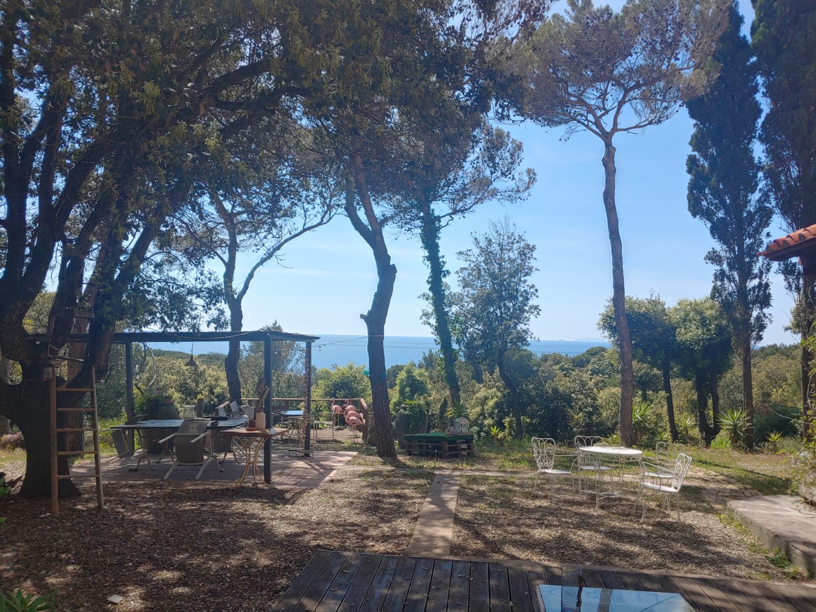 Amalia by the Sea - Quercianella