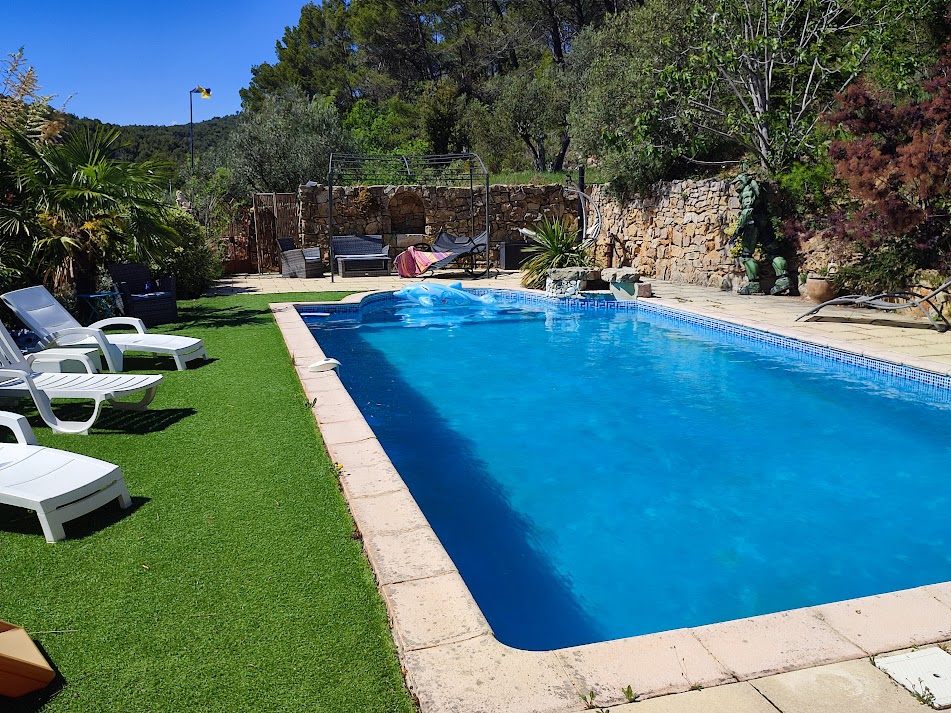 Large pool, trampoline and small cat