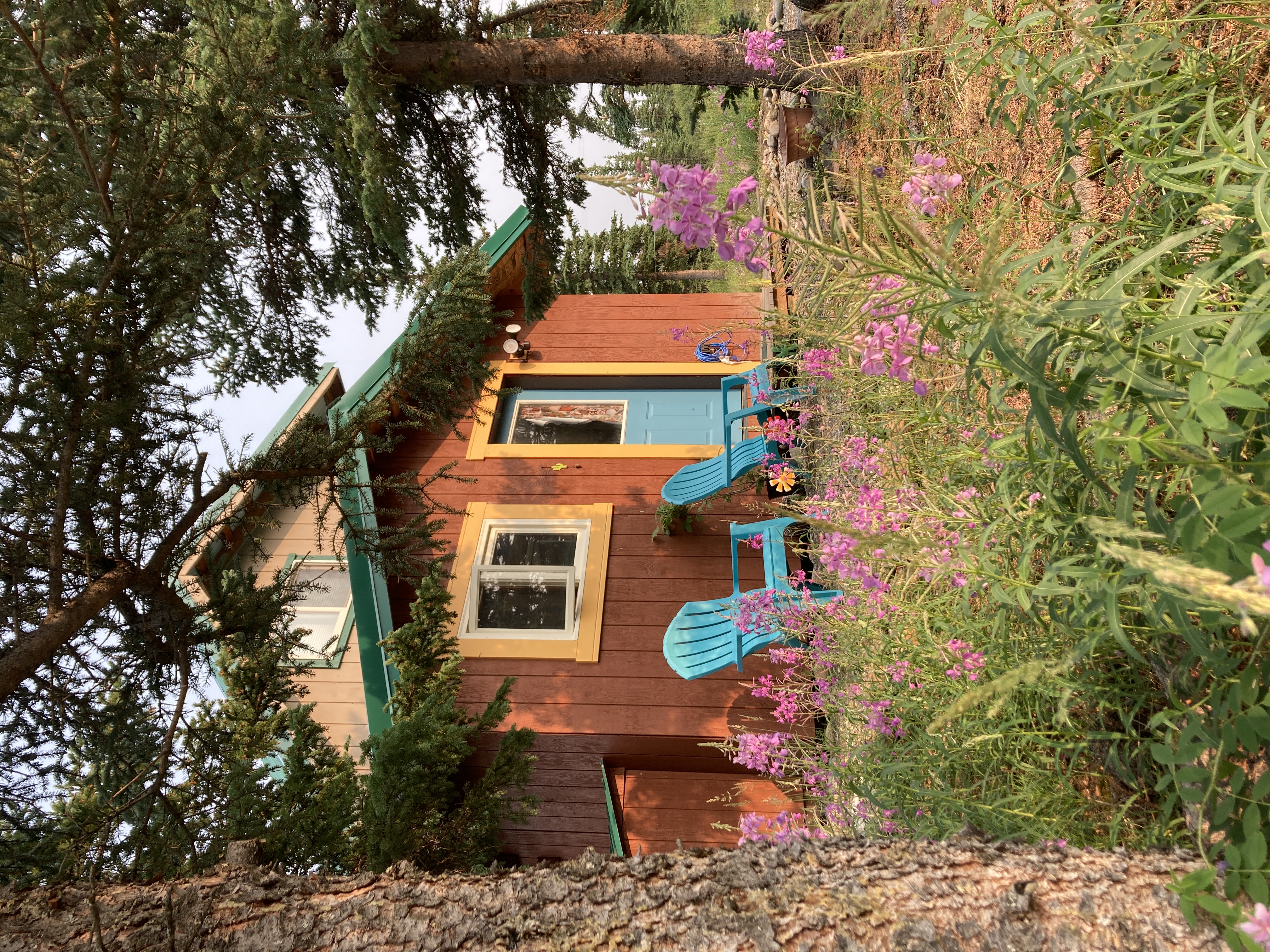 Joyful Denali Cabin w Nat'l Park Views * NEW 2023