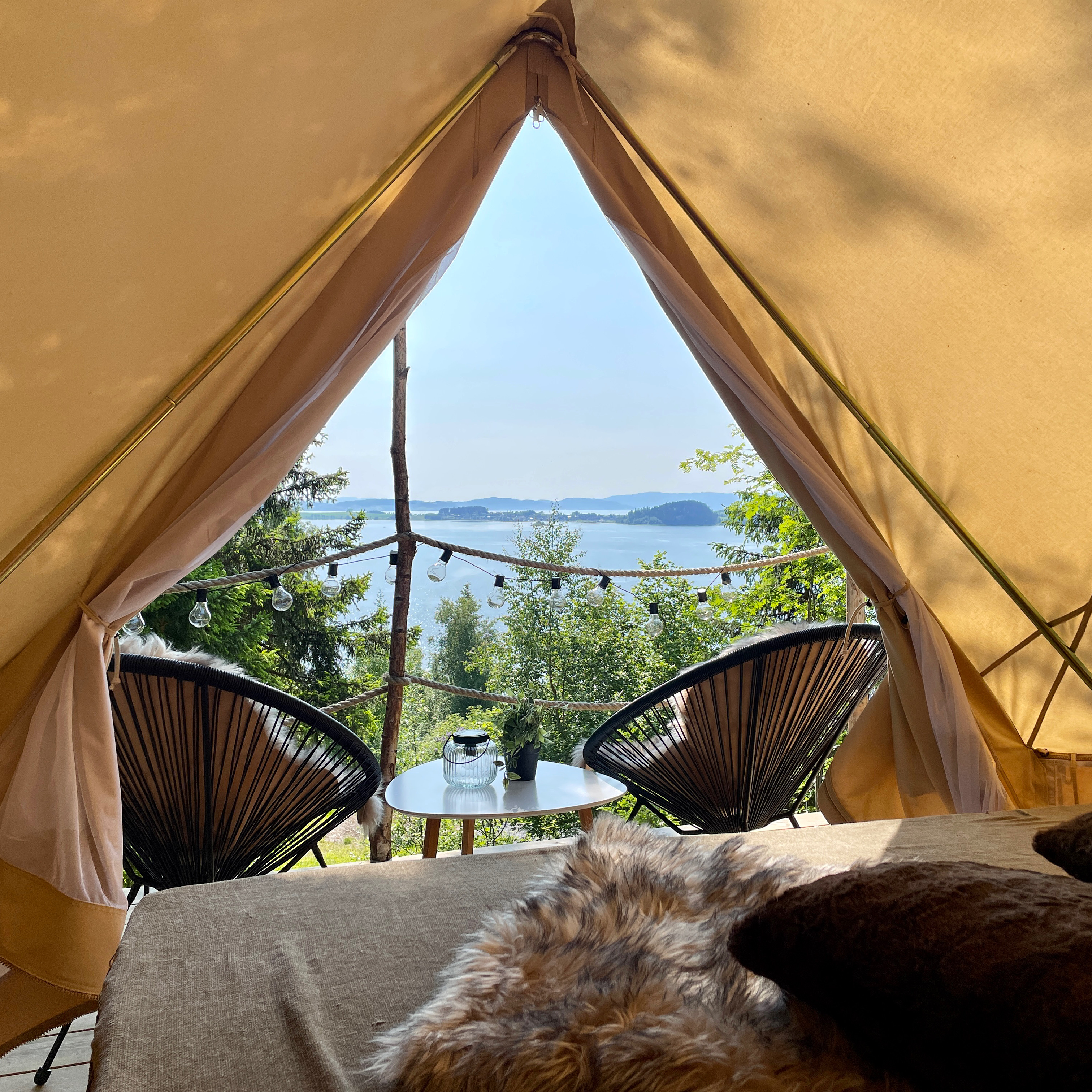 Forest glamping - your hotel room in the woods