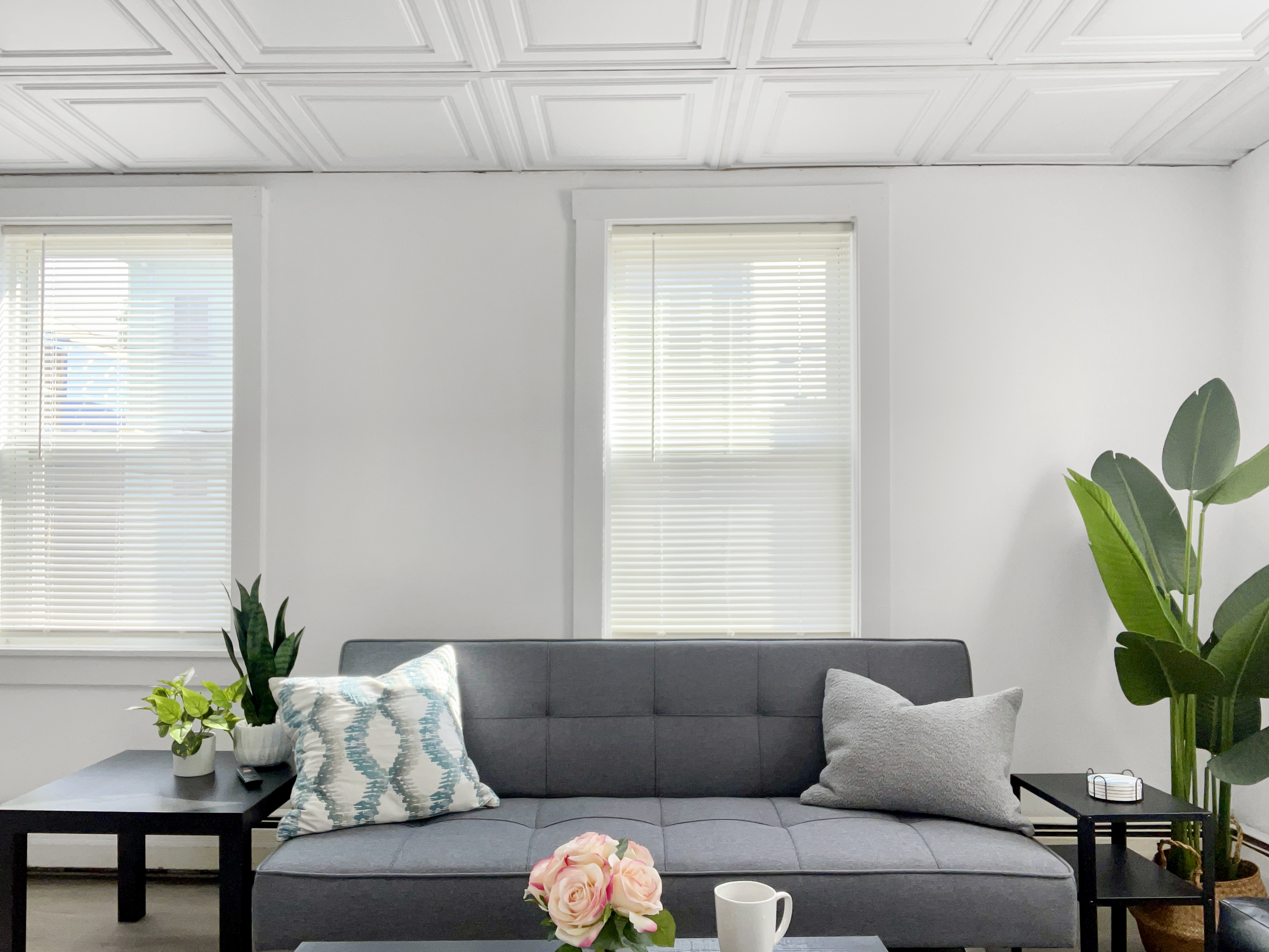Bright 2BR by Boston Waterfront