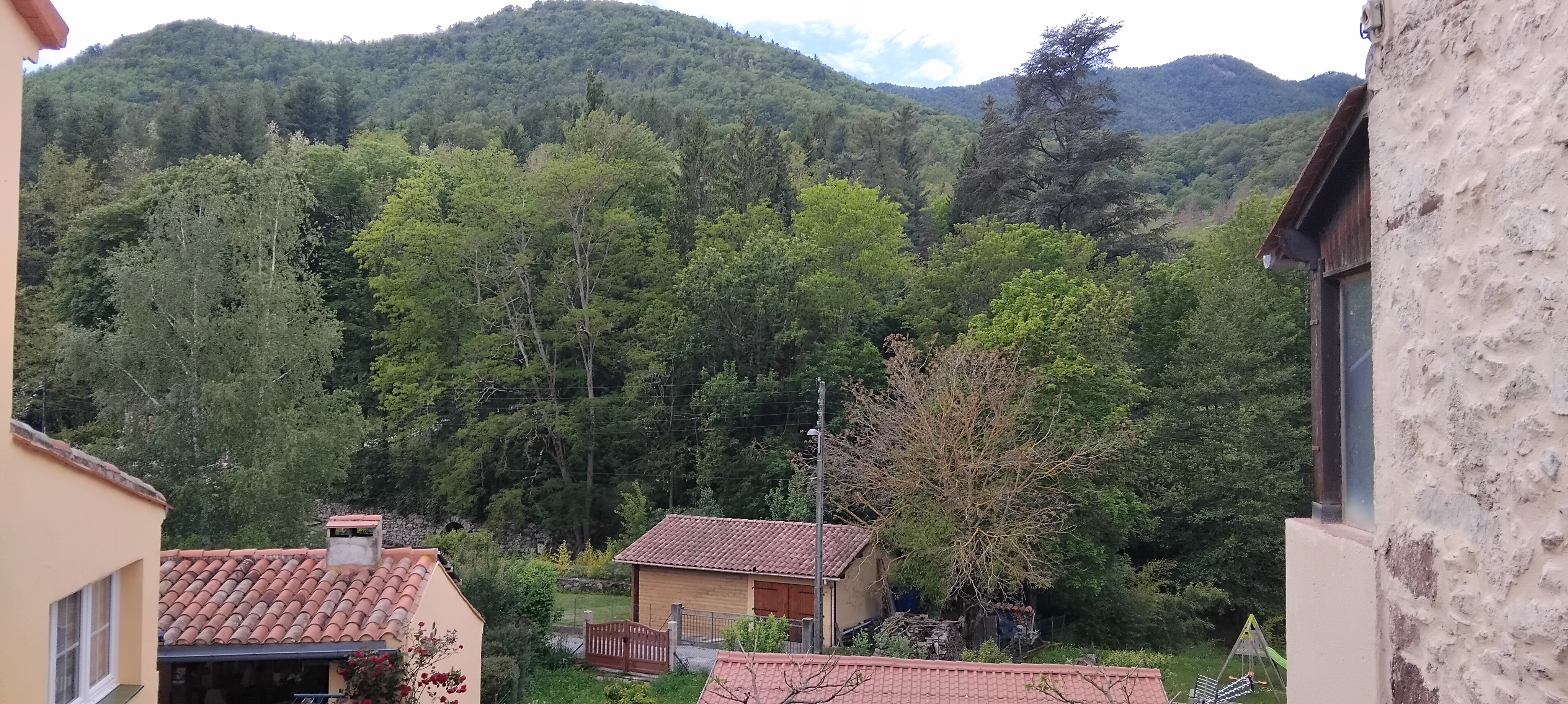 Village house
