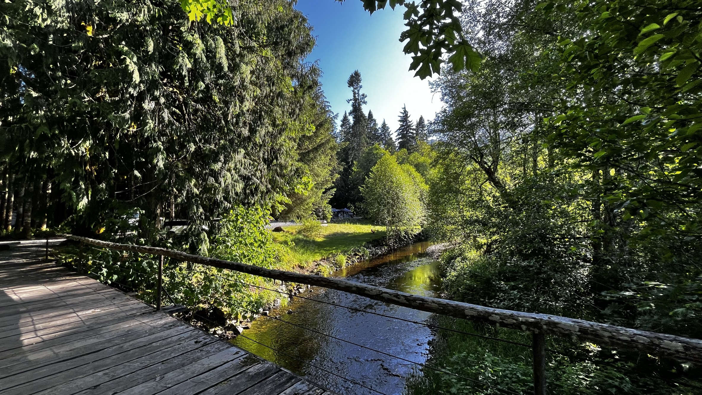 Hillside cabin at Elkamp