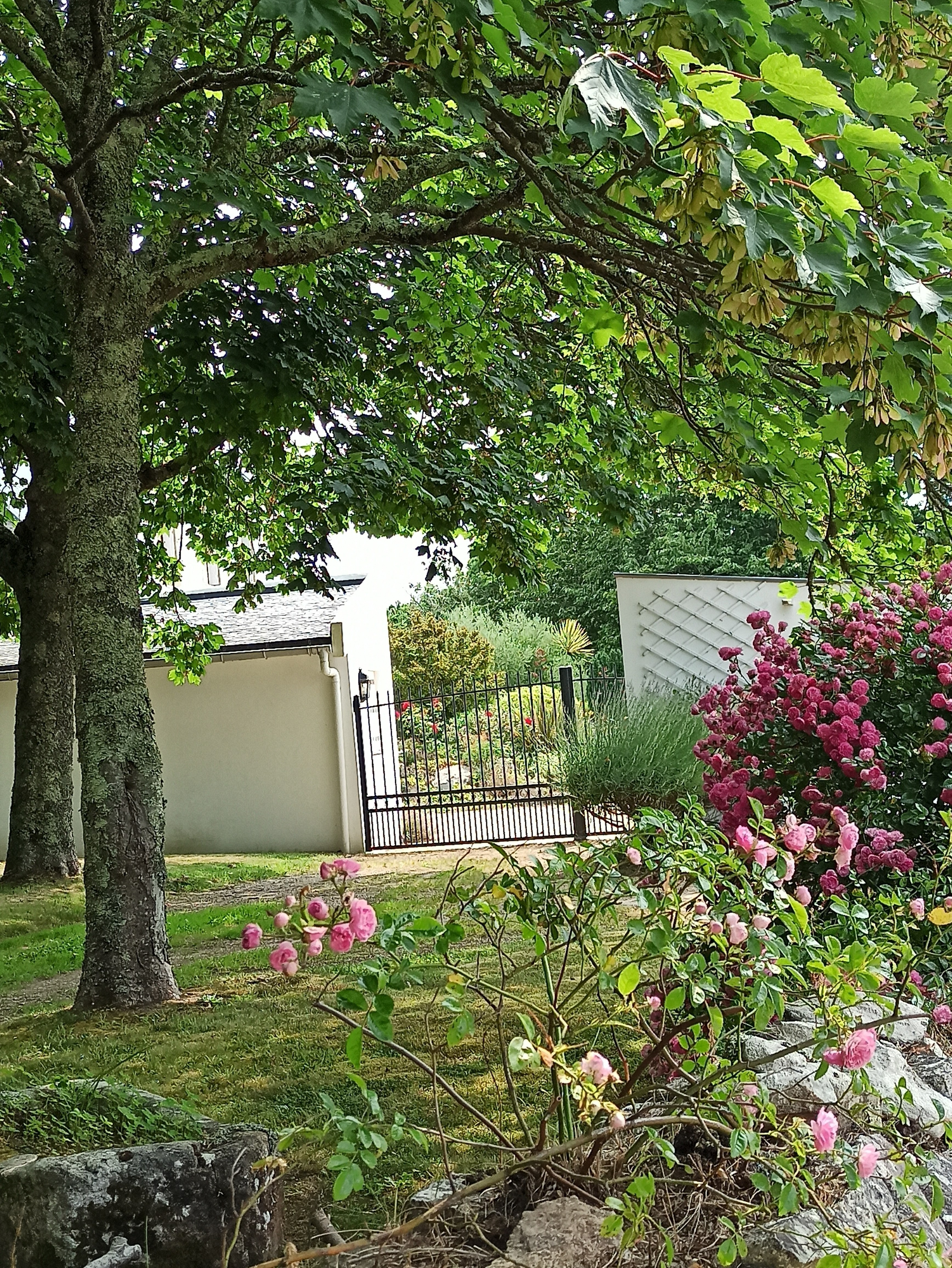 Le gite de Brenelec
