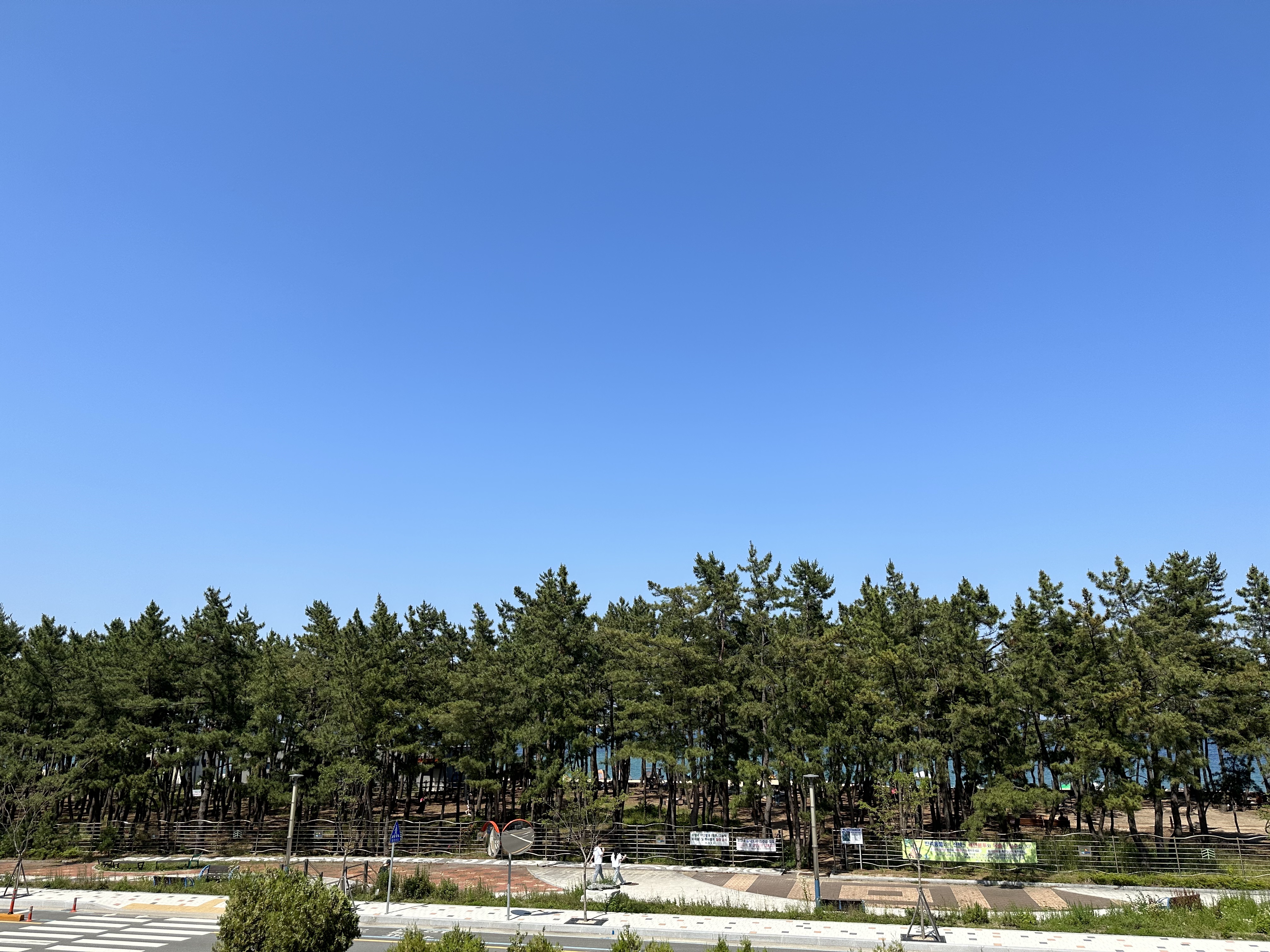 # 1 minute walk from Sokcho Beach # 10 minutes from Bus Terminal # Family trip # Friendship trip