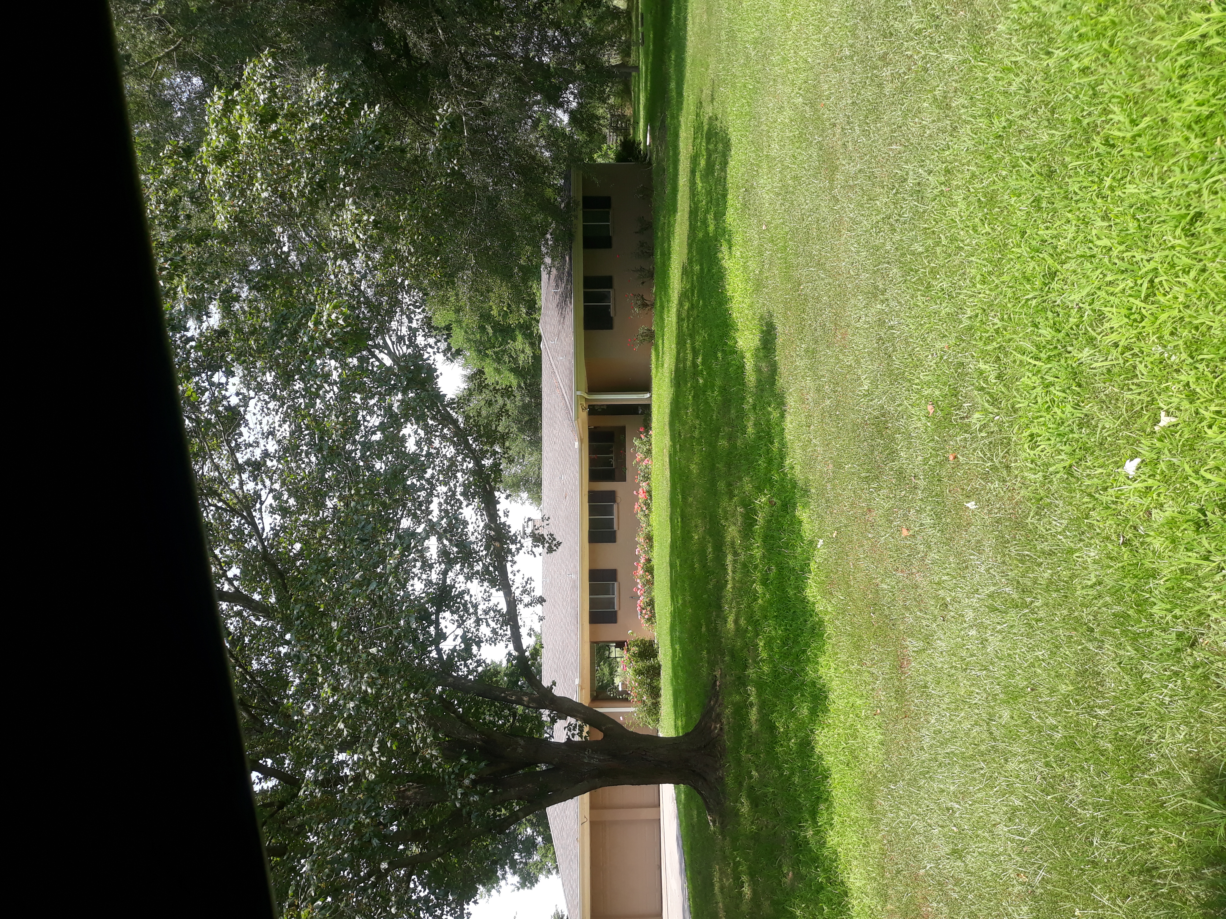 The DawsonHouse