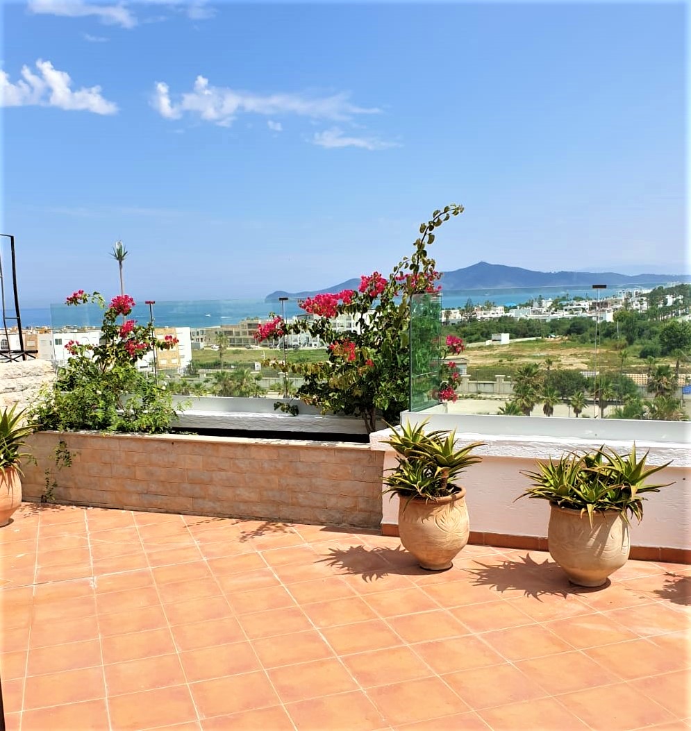 Stunning panoramic terrace apartment