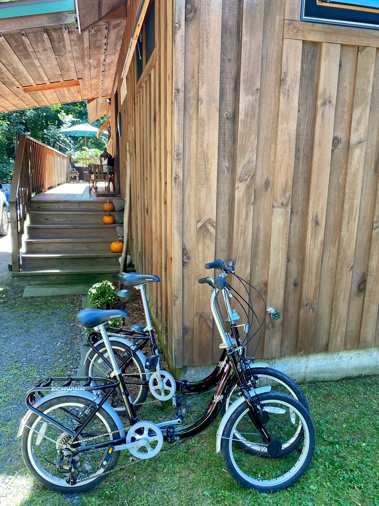 Rippleside Retreat Stay and Relax Houses for Rent in Mount Tremper