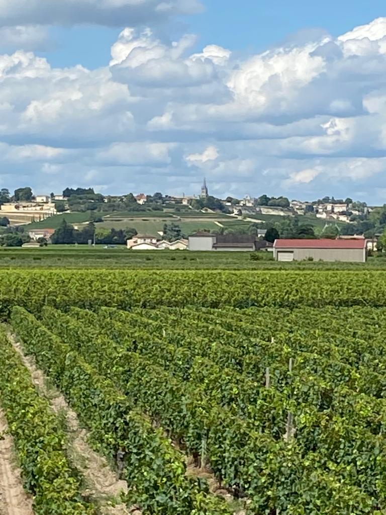 Gite in the heart of Saint-Emilion vineyards