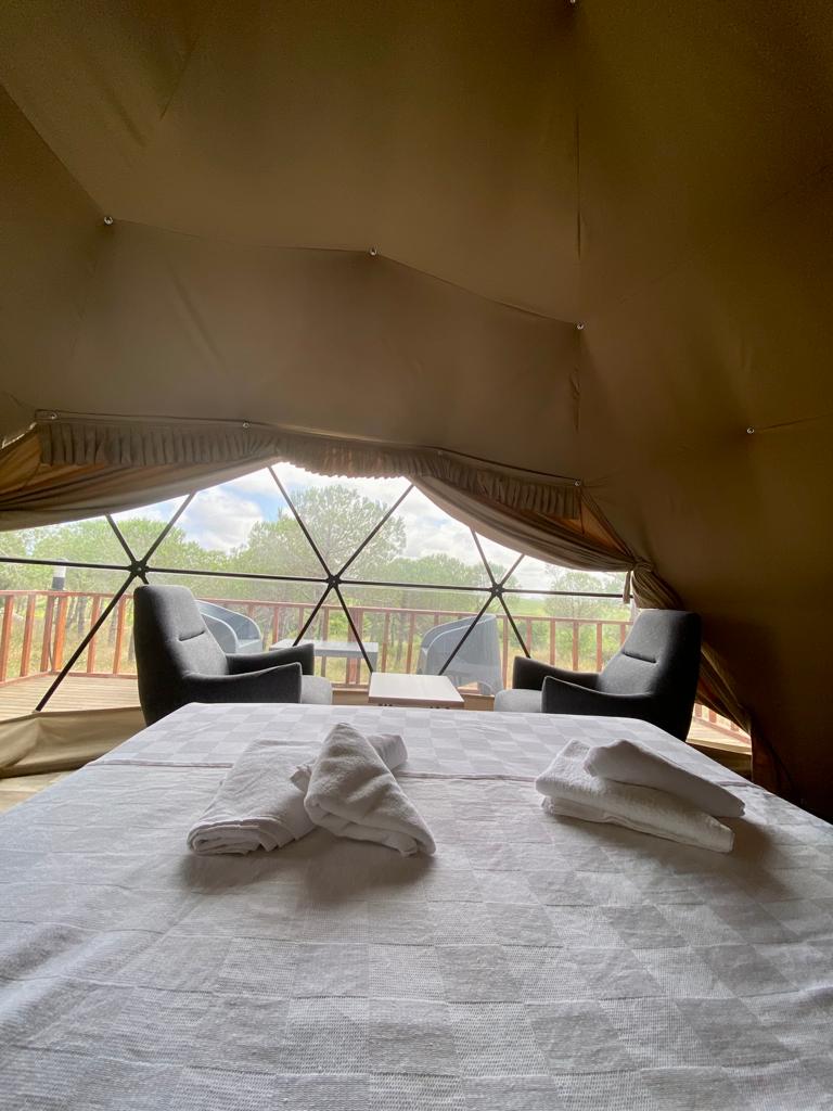 Dome house with Forest views