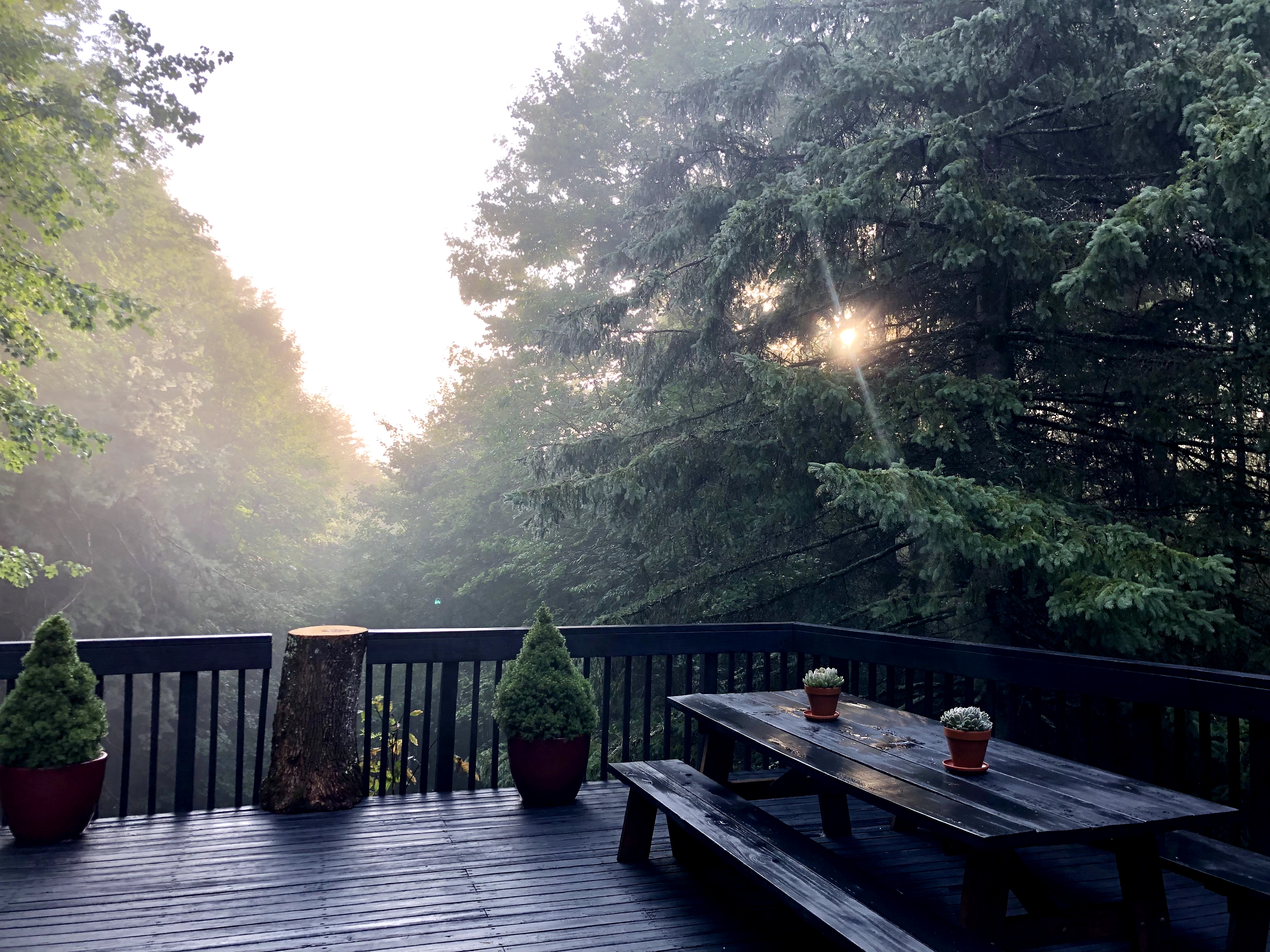 Escape to Upstate! Modern A-Frame with Mt Views