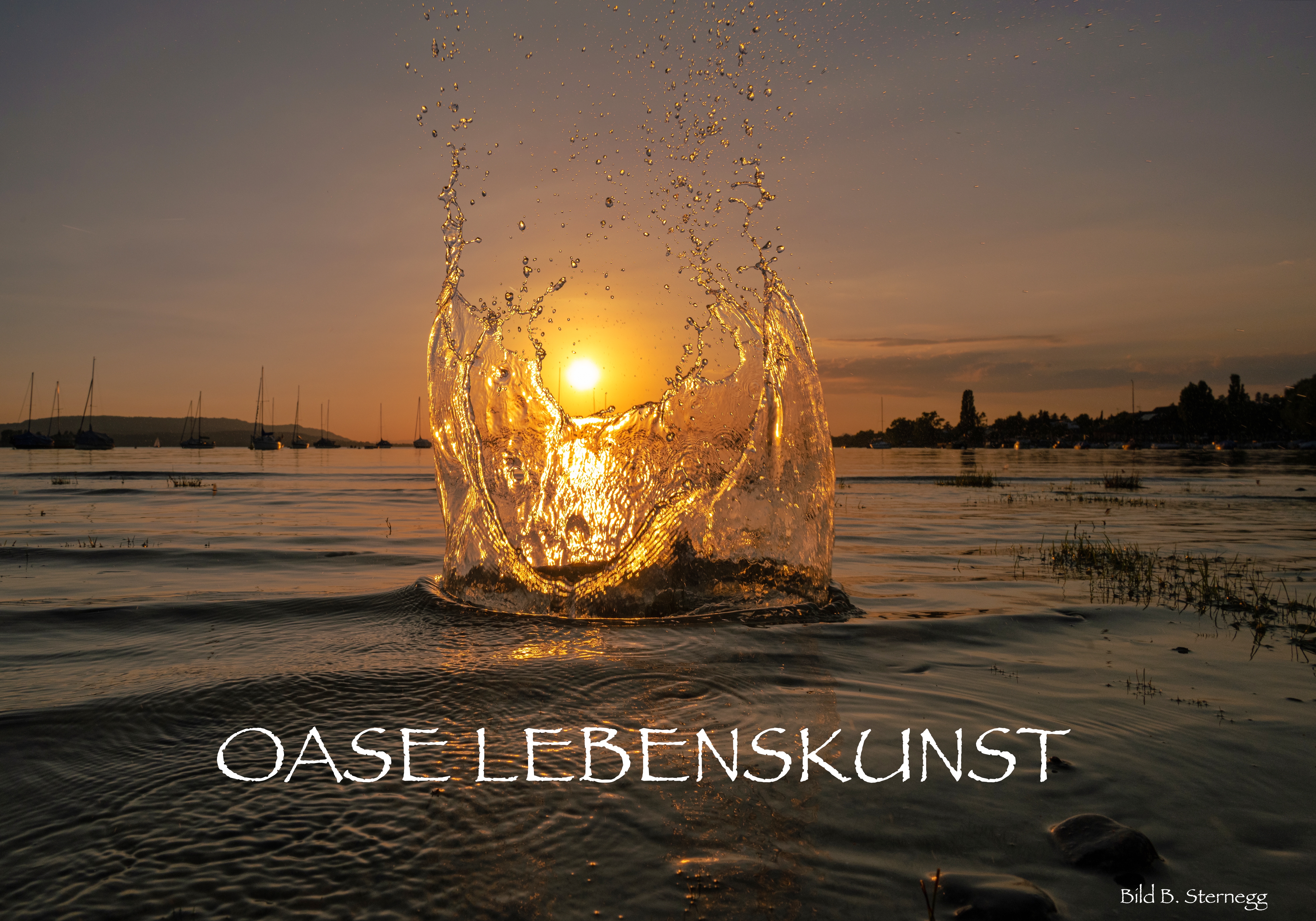 Lakeside Oasis of Life