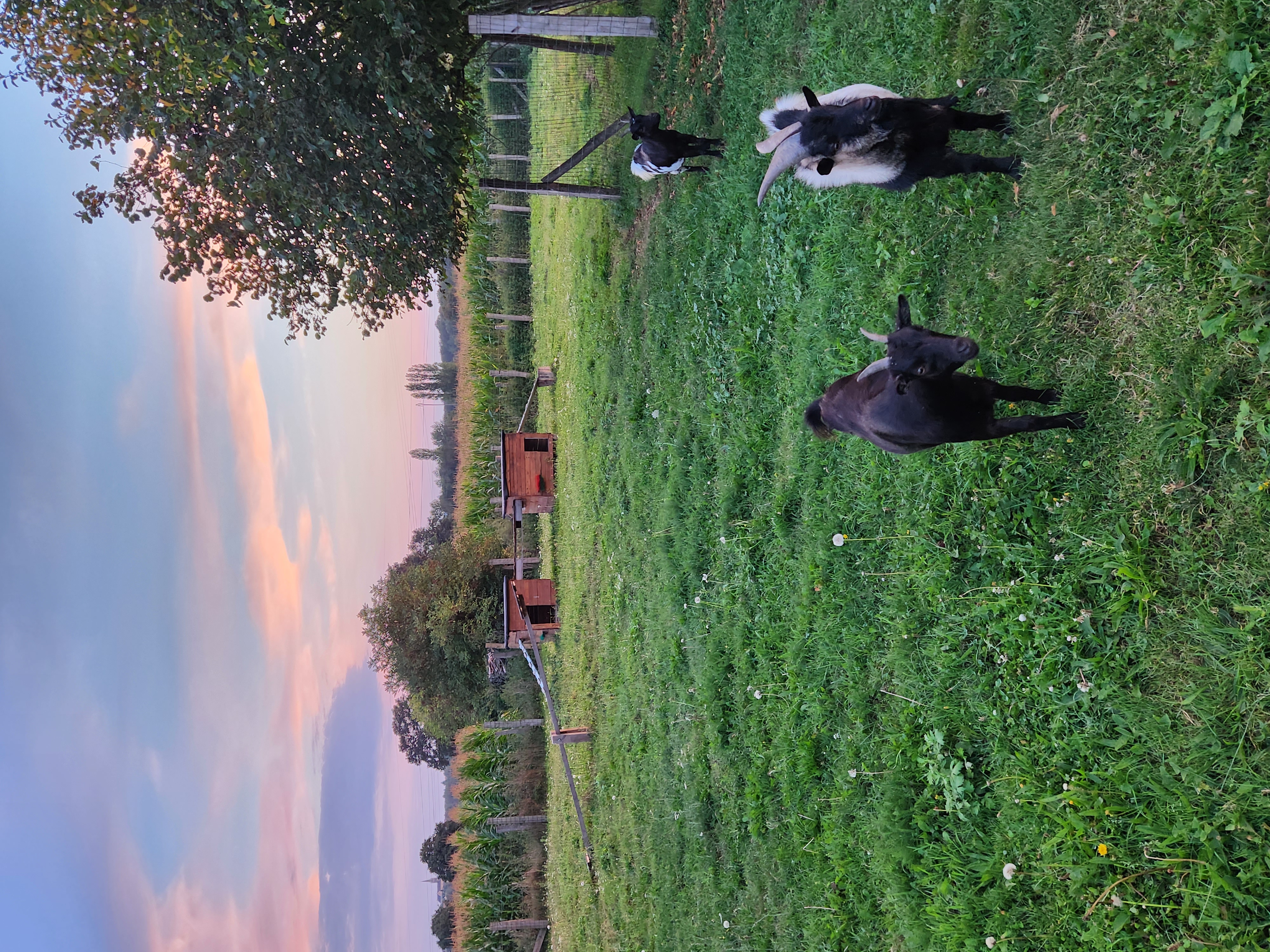 Maisonette at the circuit door