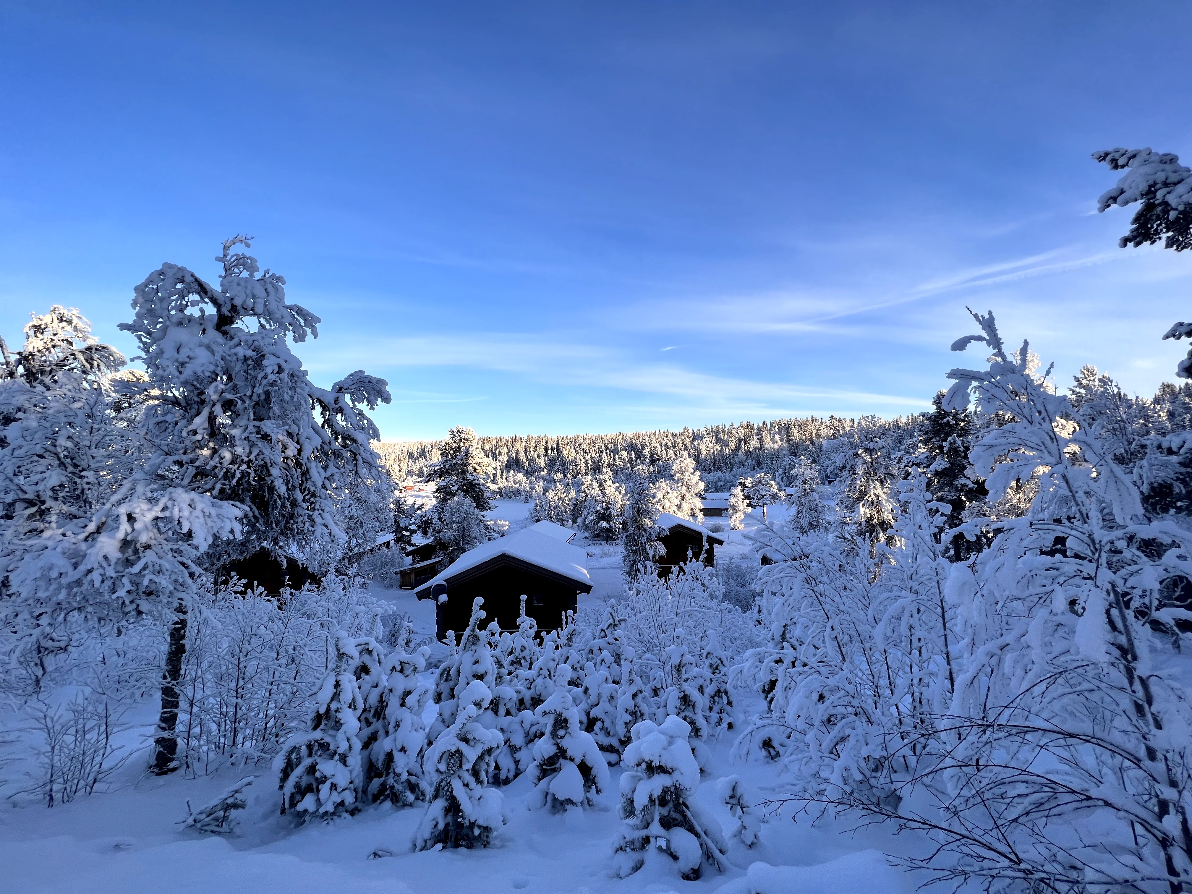 Friisvegen Måsåplassen Stabburhytte 7
