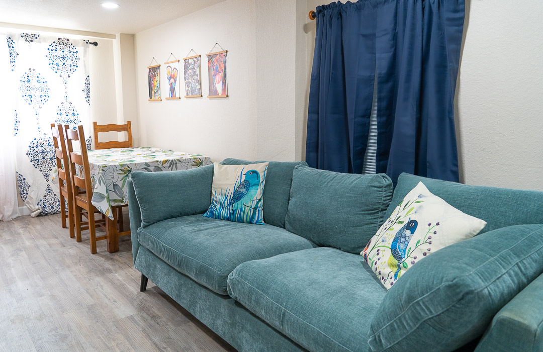 Pet Friendly Convenient Downtown Apartment