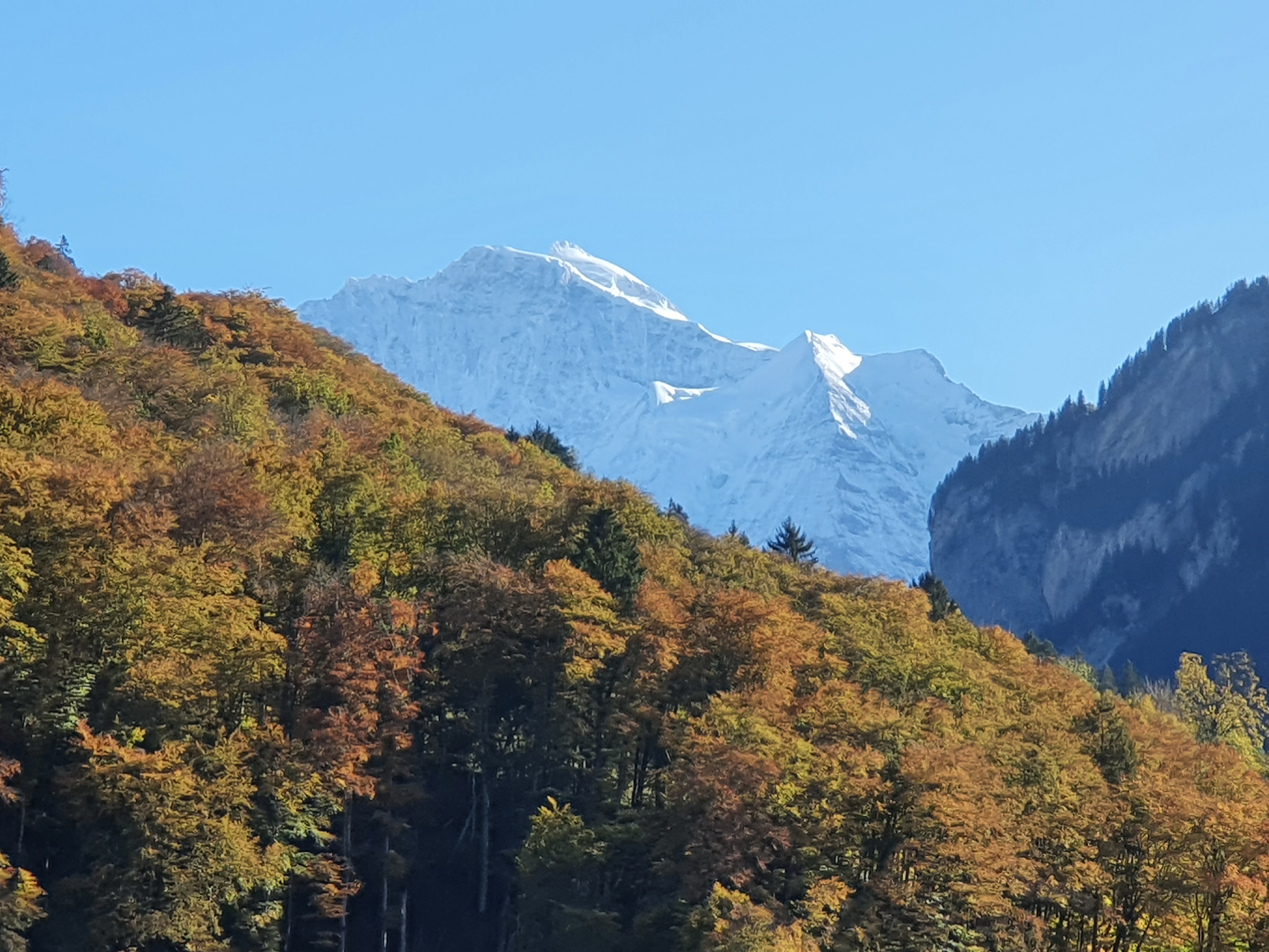 Silberhorn View