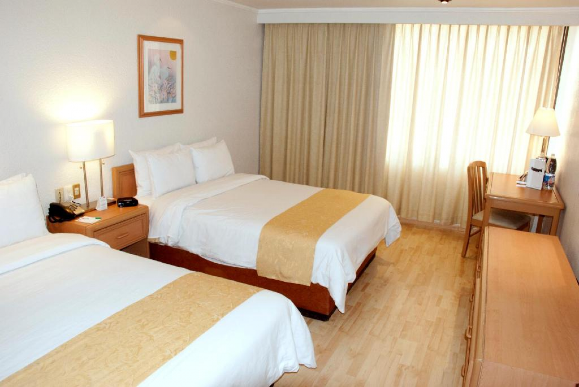 Double Room near North Roma Zone in Mexico City