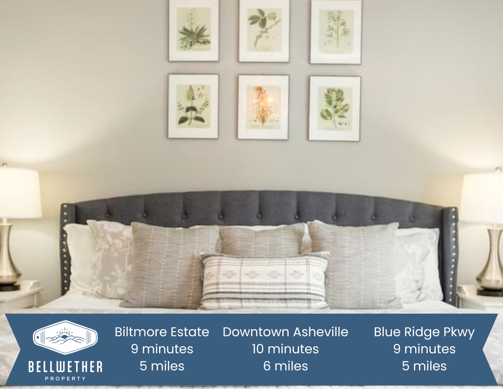 10 Minutes to Downtown & Biltmore, Next to Parkway in 28803, Asheville