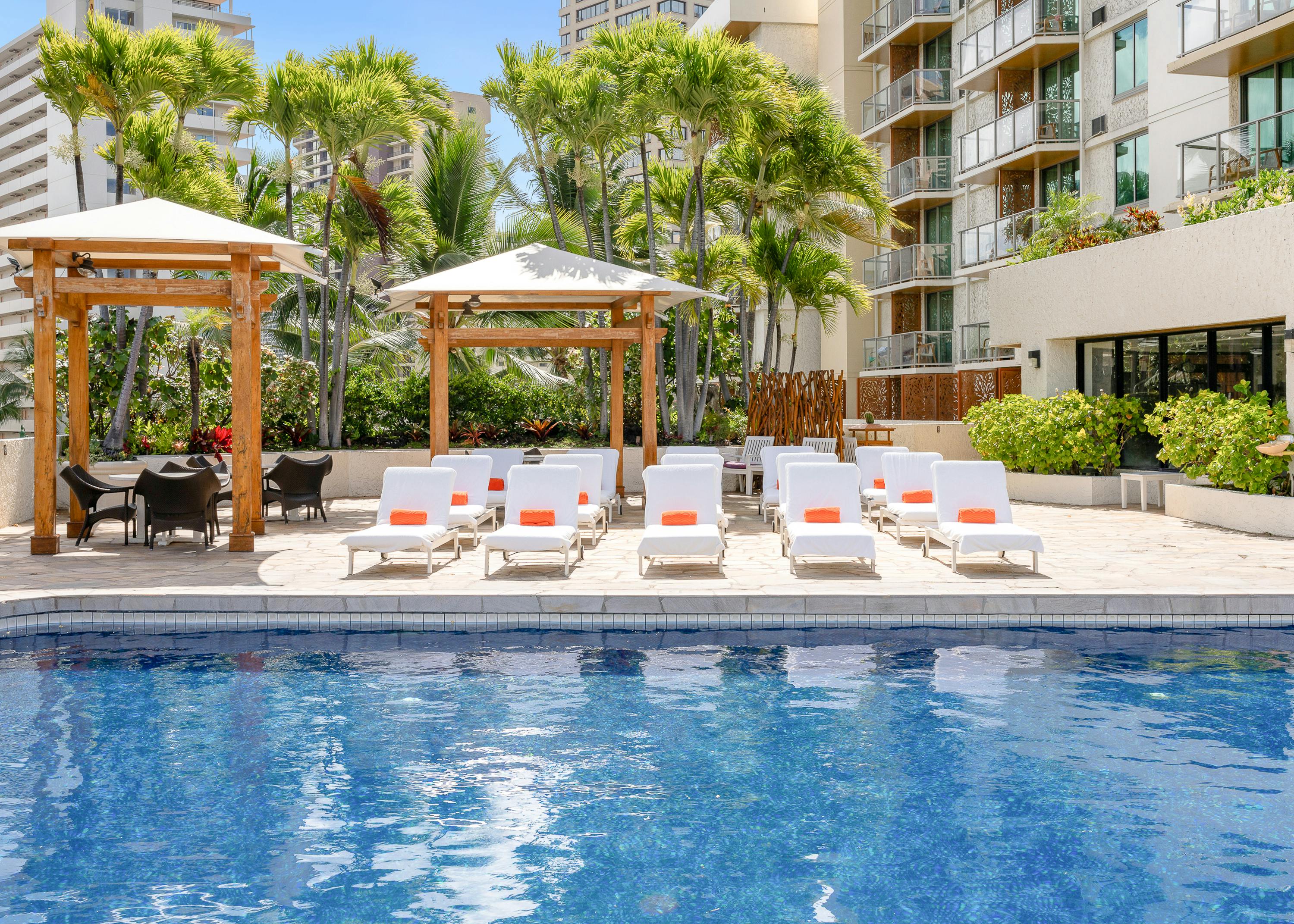 Oversized park view studio parlor suite in Primary Urban Center, Hawaii