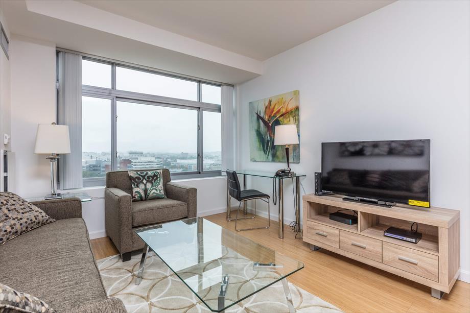 Luxury 1BR Apt | Washer/D | Gym | Cambridge MA in East Cambridge, Cambridge