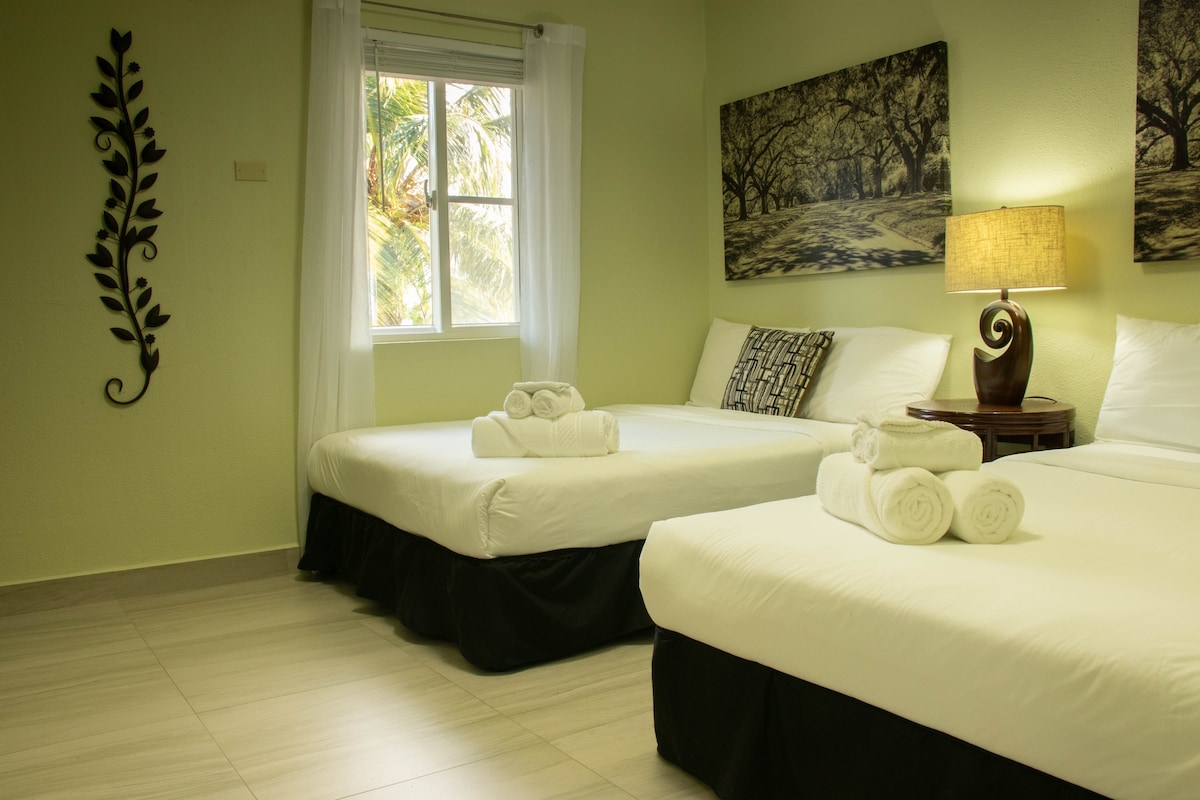 Beachfront 1BR - Unit 202 Ocean Villa