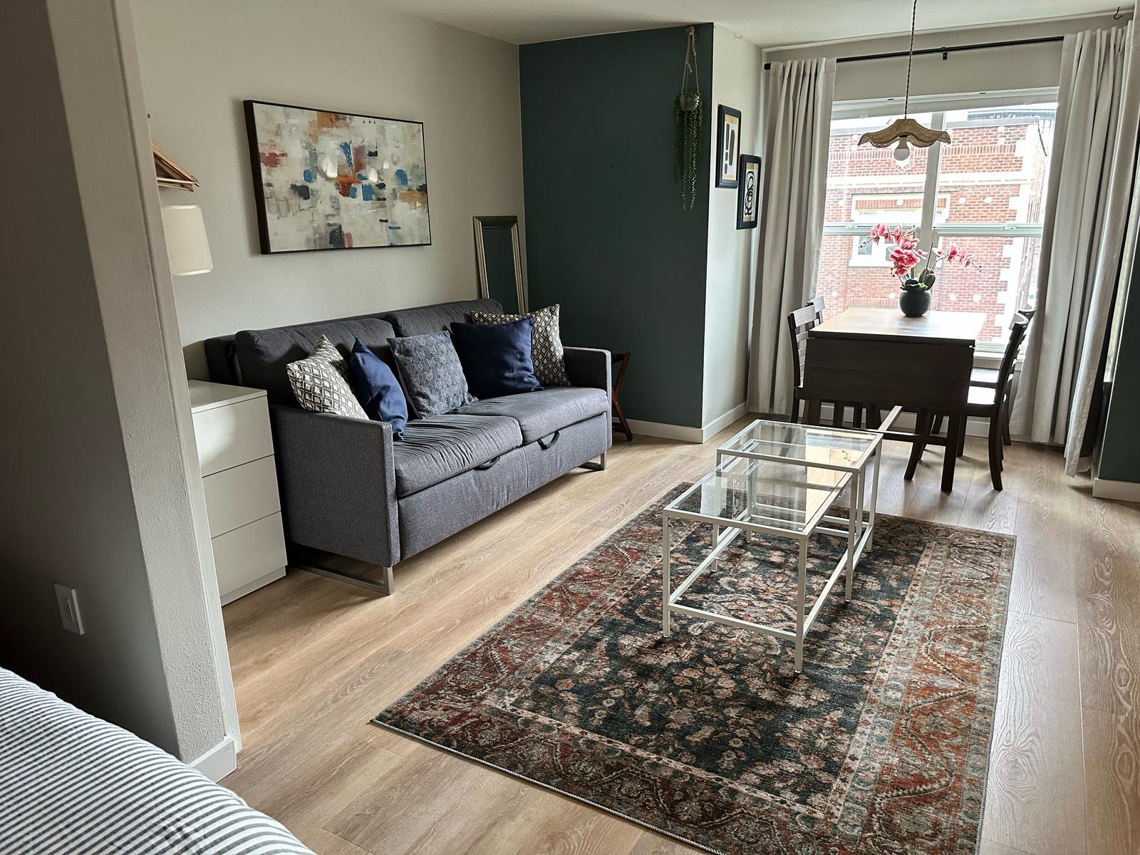 Space Needle view apt with AC free parking laundry