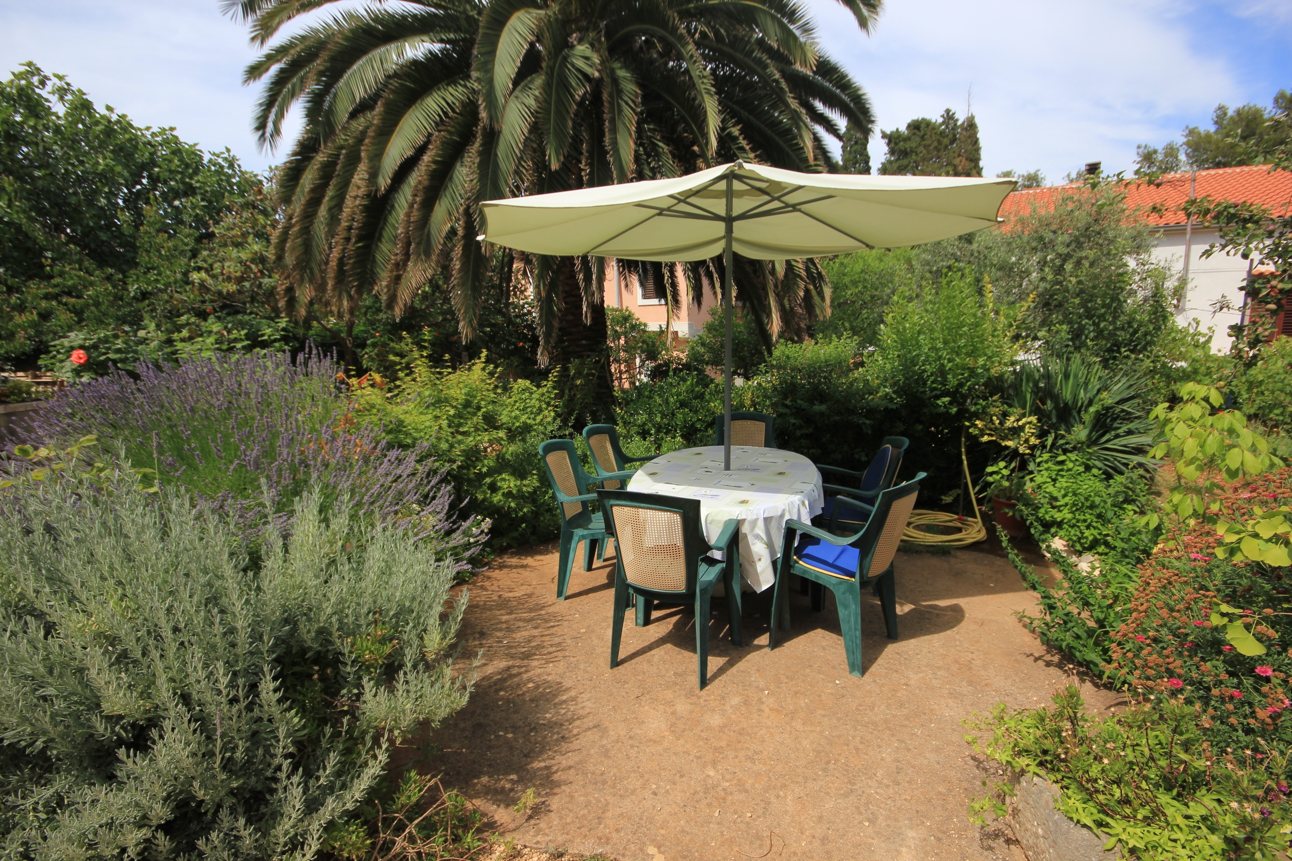 A-8029-a One bedroom apartment with terrace Veli