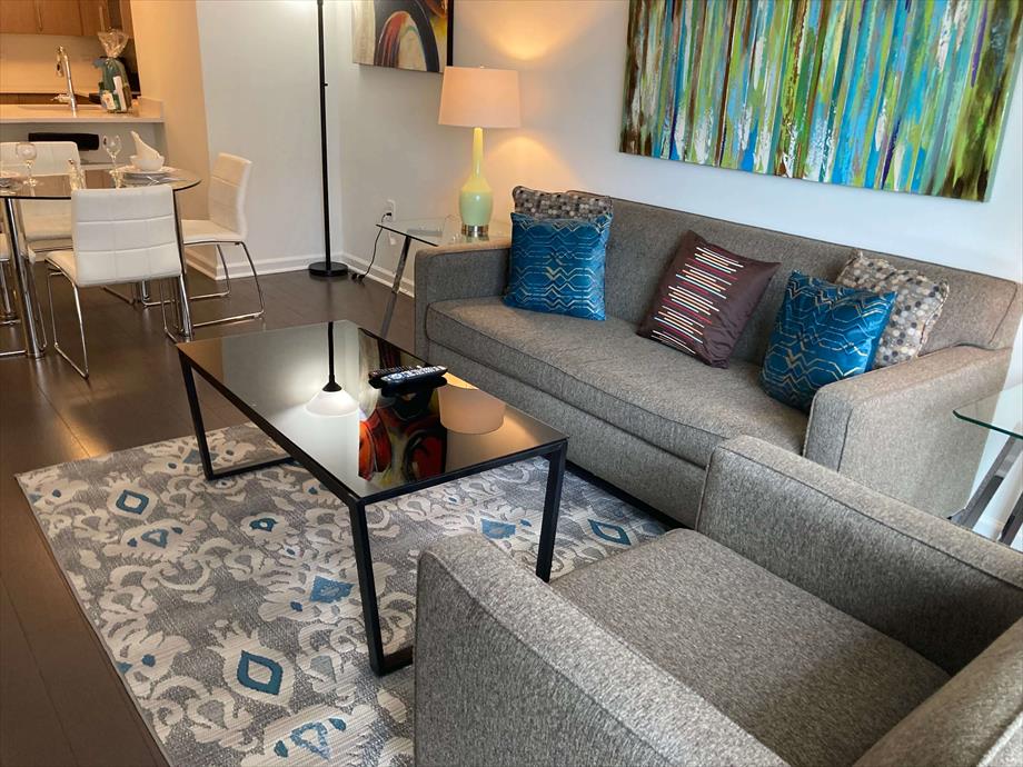 Luxury Private Jersey City One Bedroom Apartment in Ward E (councilmember James Solomon), Jersey City