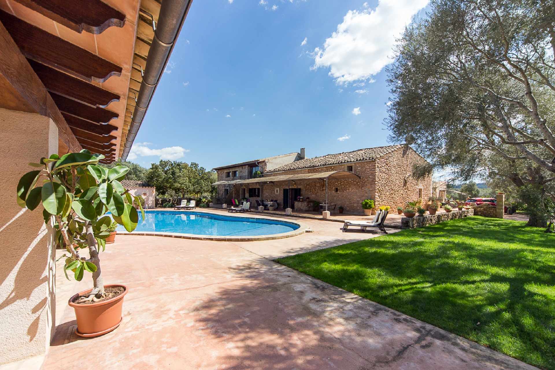 Apt Sa Olivera 4-5 pax in Algaida, Mallorca